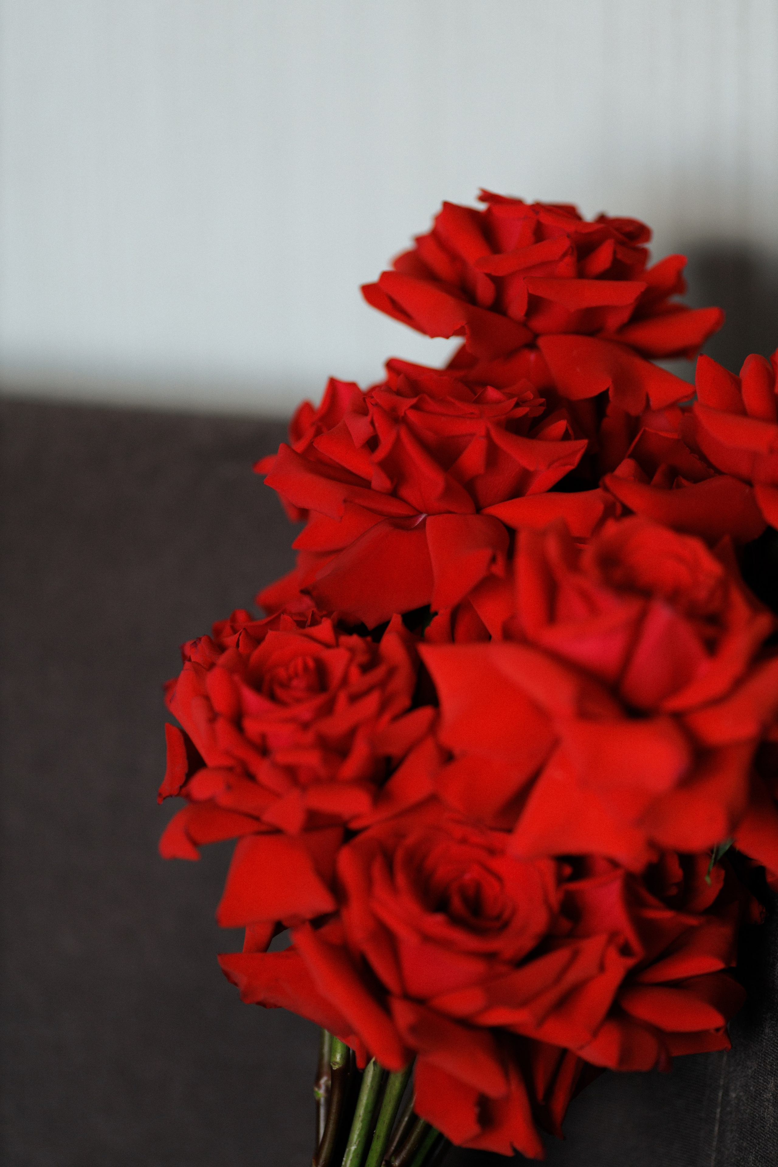 Александр и Анастасия. Фотограф и Видеограф в Ростове на Дону