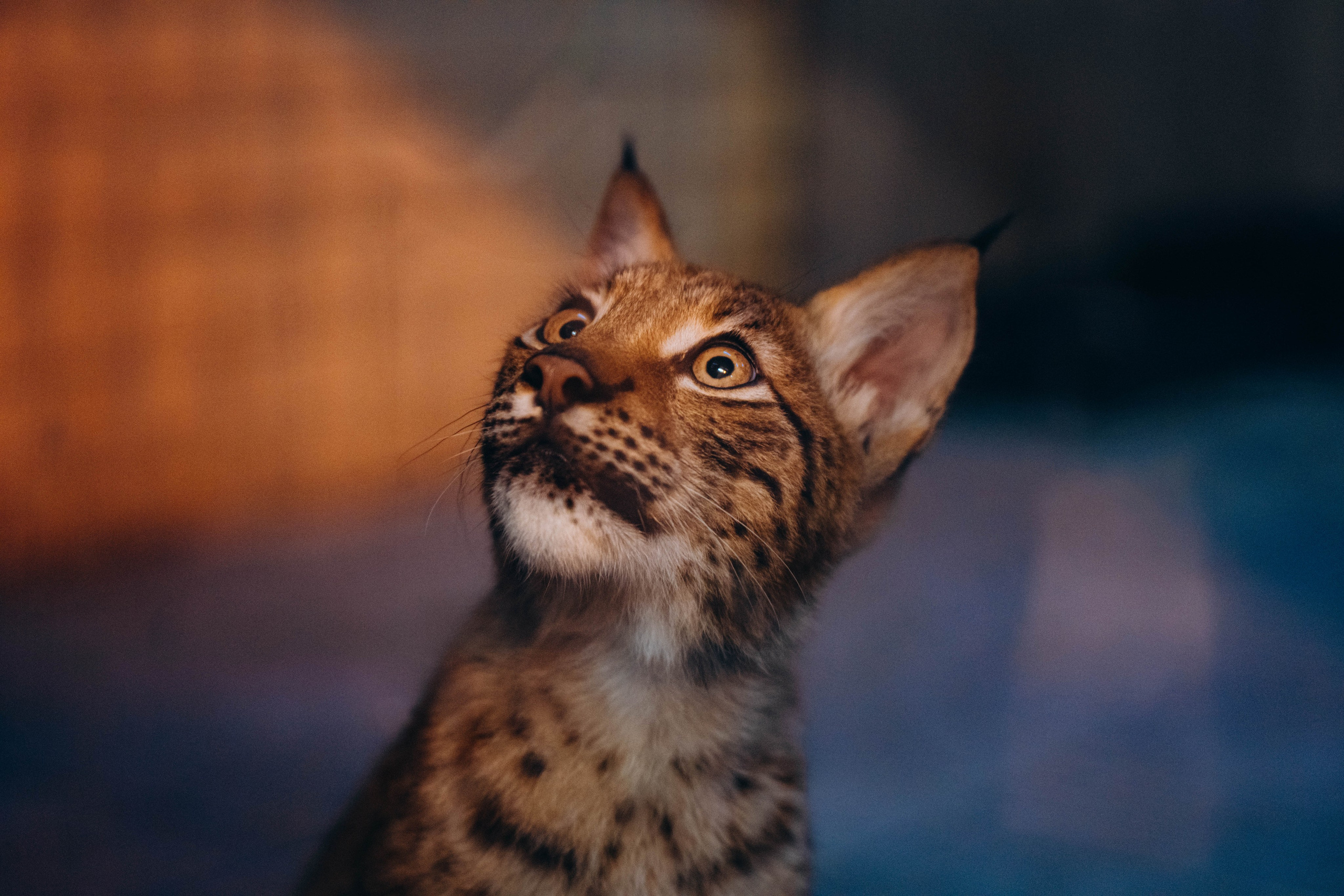 СЕВЕР. Event фотограф Степанова Александра