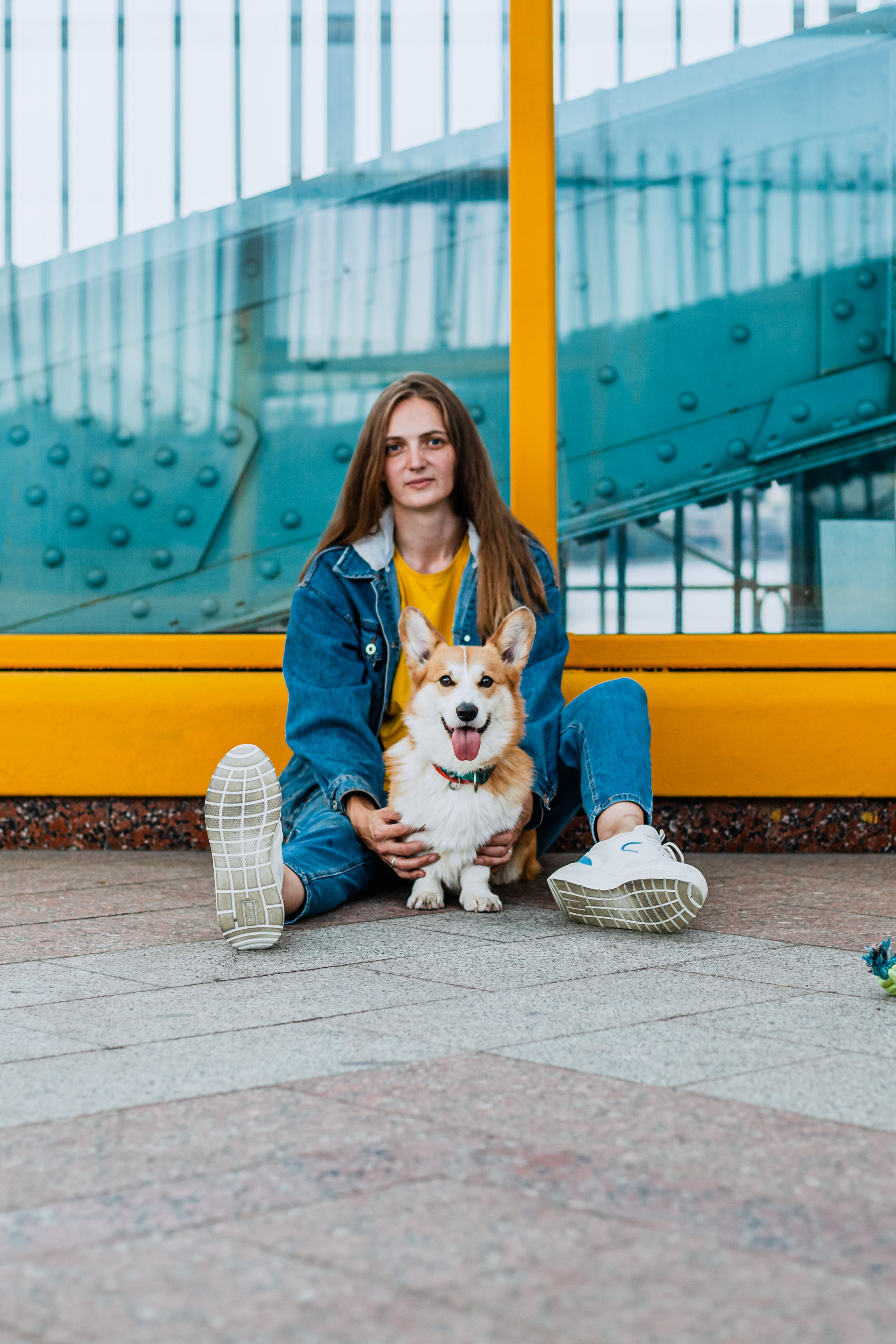 Андреевский мост. Фотограф-анималист Татьяна Степанова