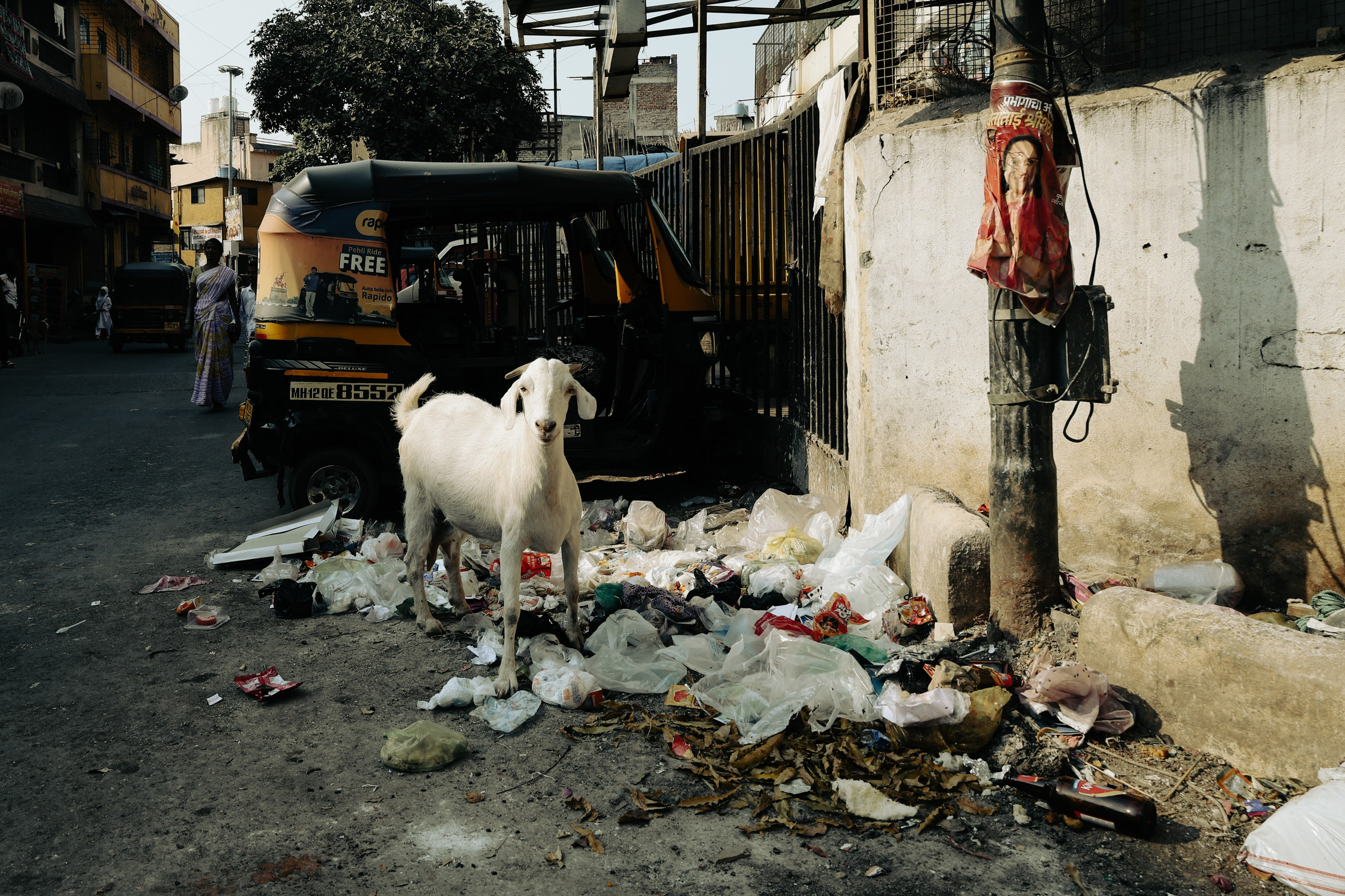 India. Фотограф в Москве