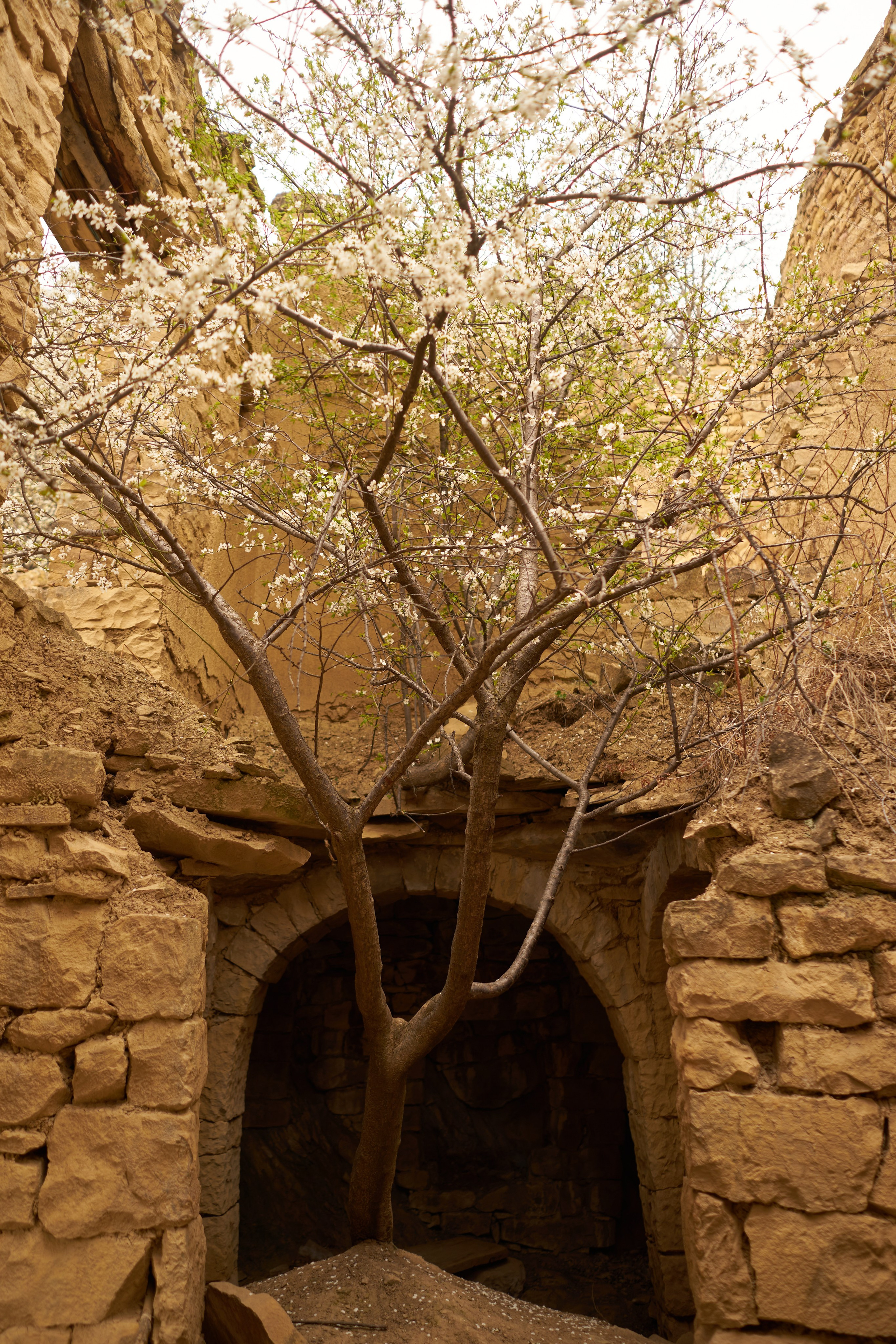 Женский портрет. Контент фотограф в Санкт-Петербурге Виктория Усова