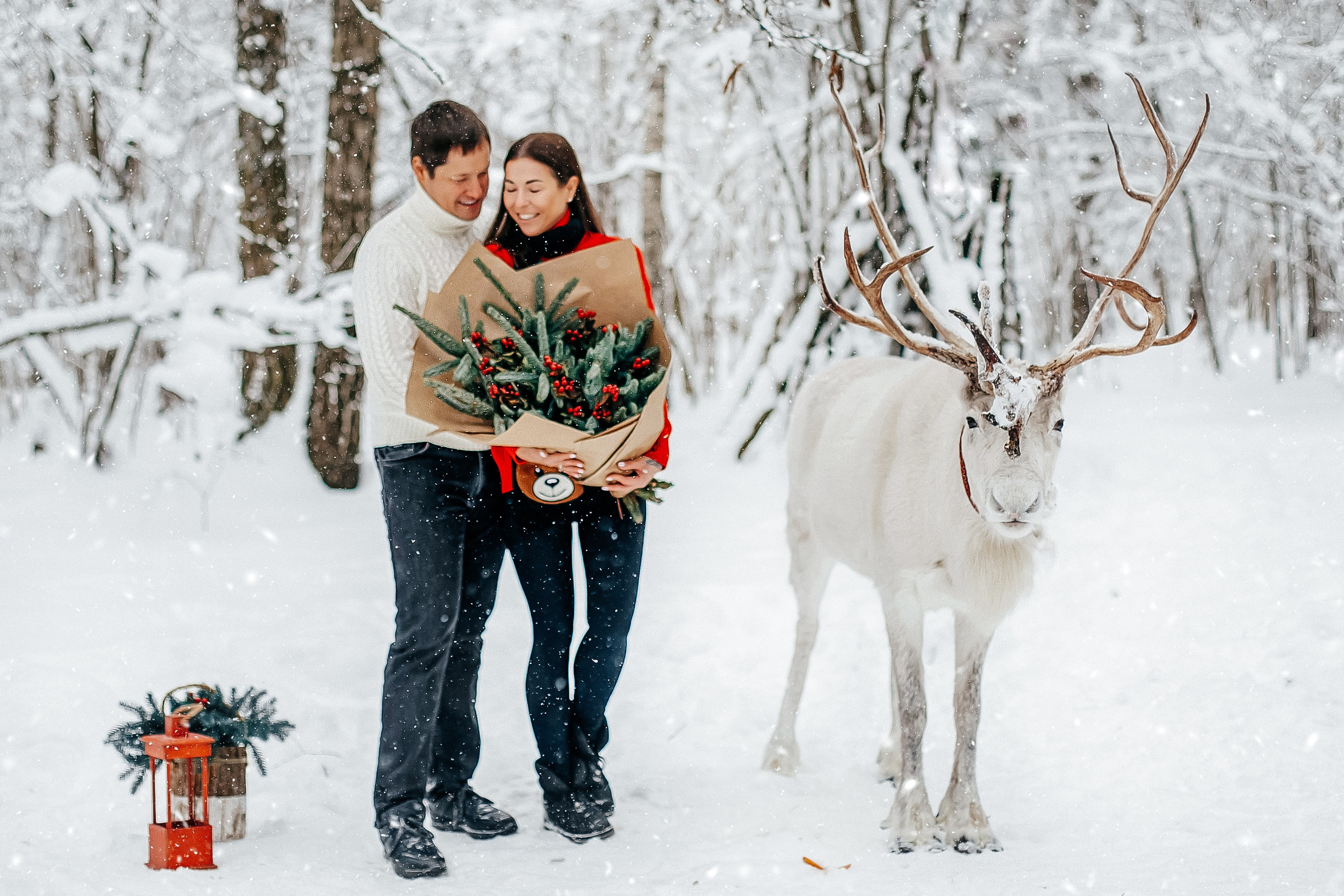 Зимние фотосессии с животными на улице. Фотопроекты, фотодни и фотосессии в Москве