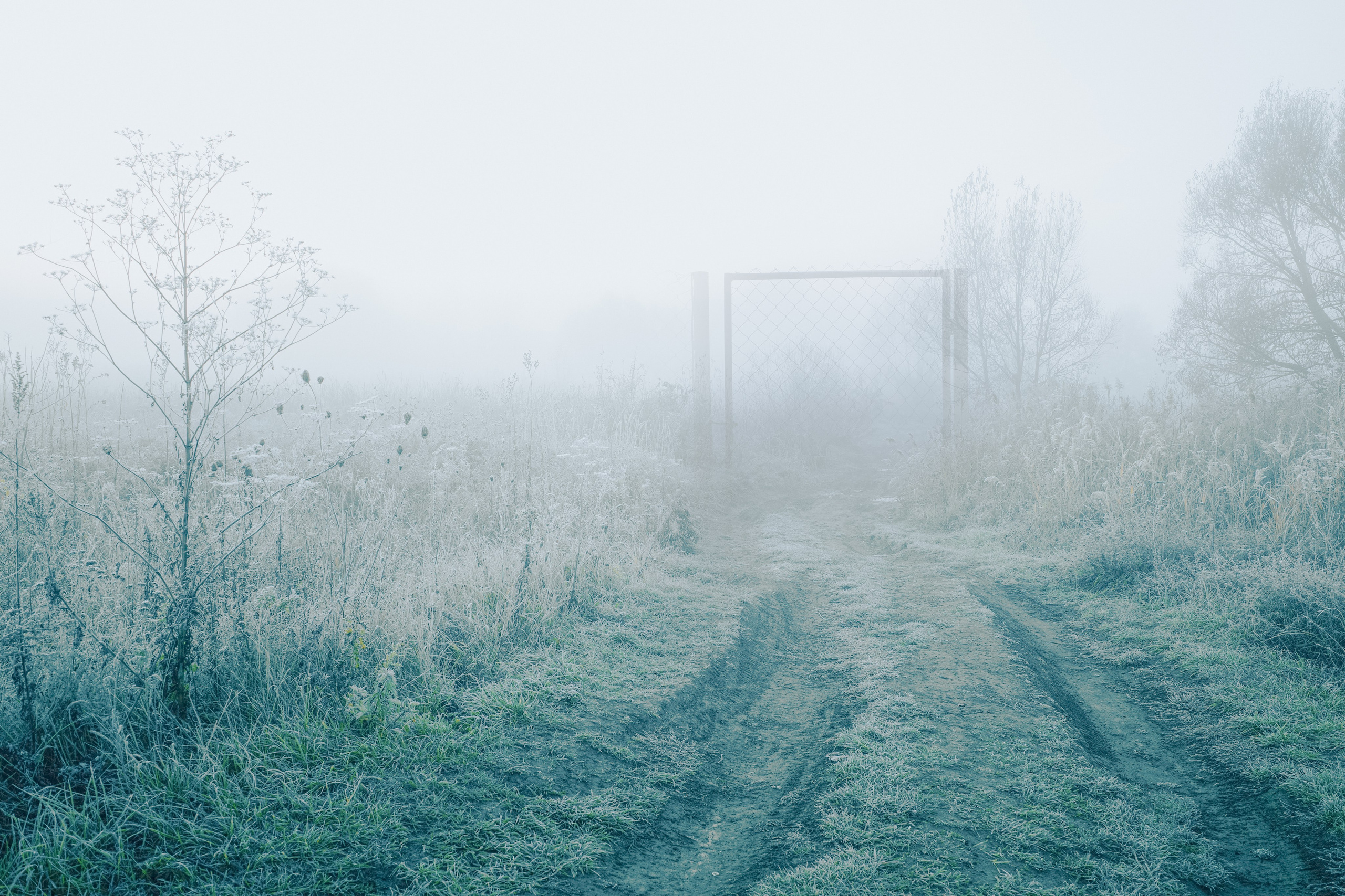 О границах реального. Междисциплинарный художник Екатерина Старовойтова