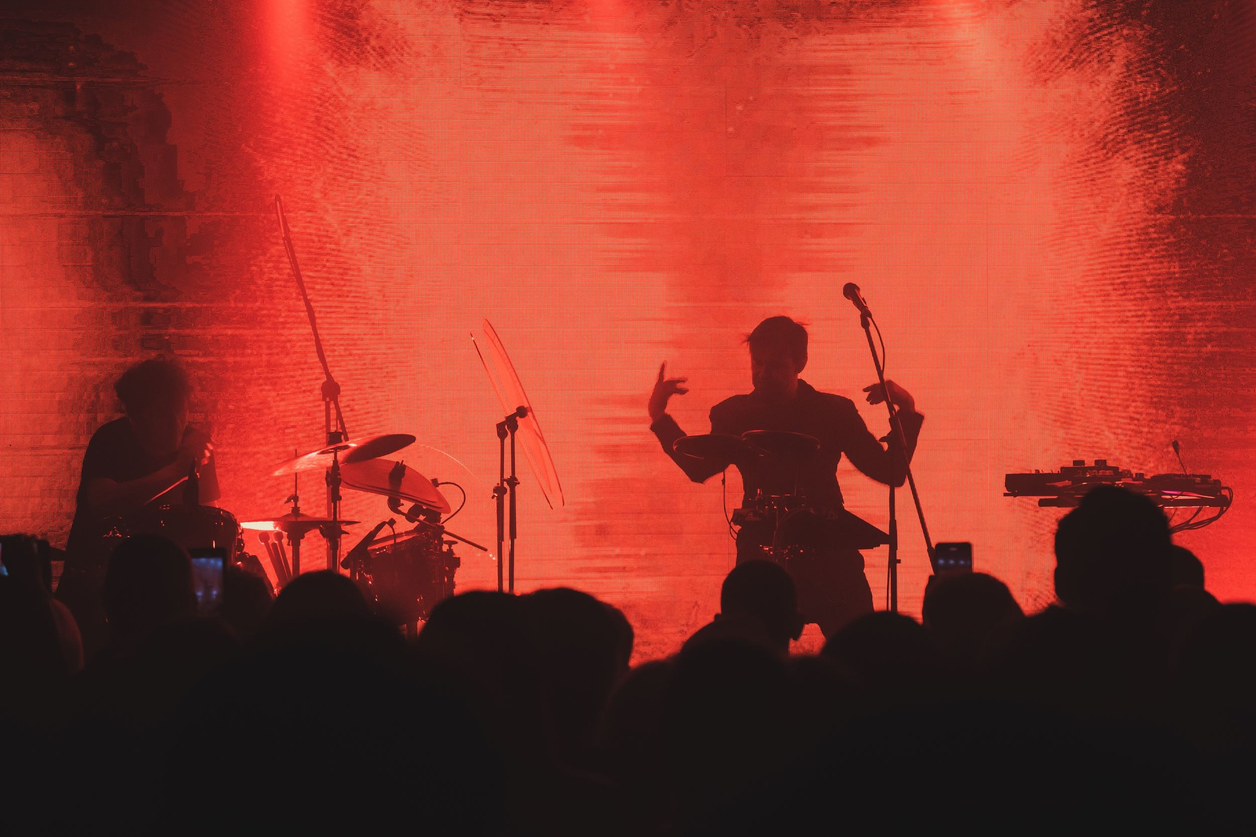 Дельфин. Репортажный фотограф Алексей Пирязев