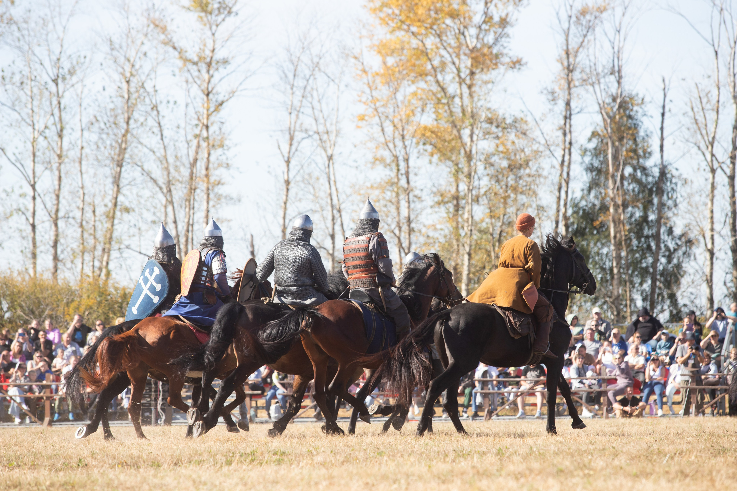 644-я годовщина Куликовской битвы (21 сентября 2024). Репортажный фотограф Алексей Пирязев