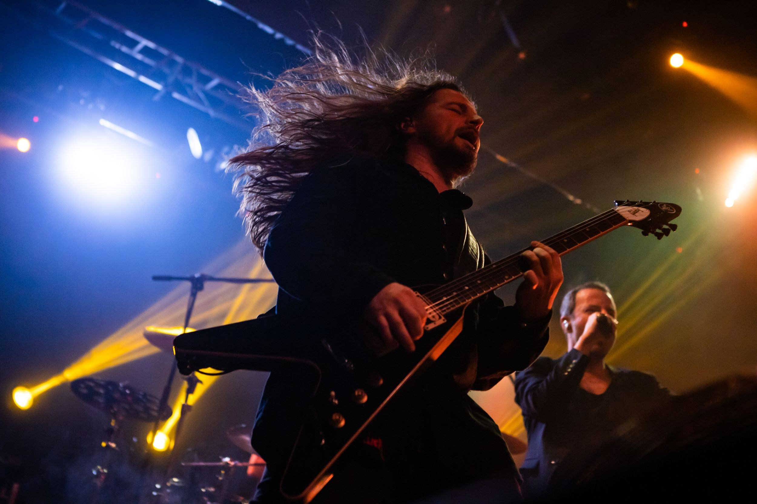 Animal ДжаZ. Репортажный фотограф Алексей Пирязев