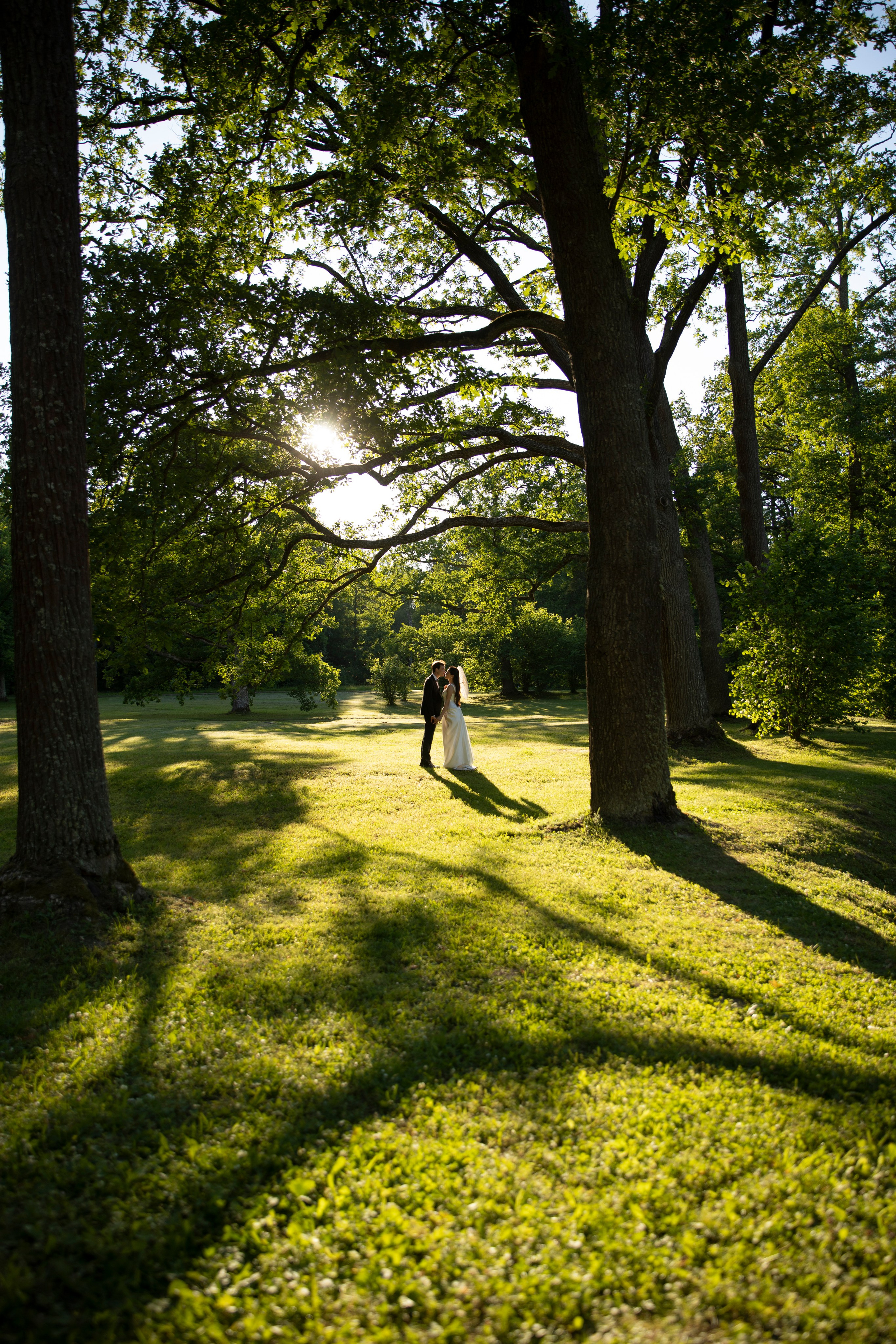 Анастасия и Иван. Свадебный и портретный фотограф
