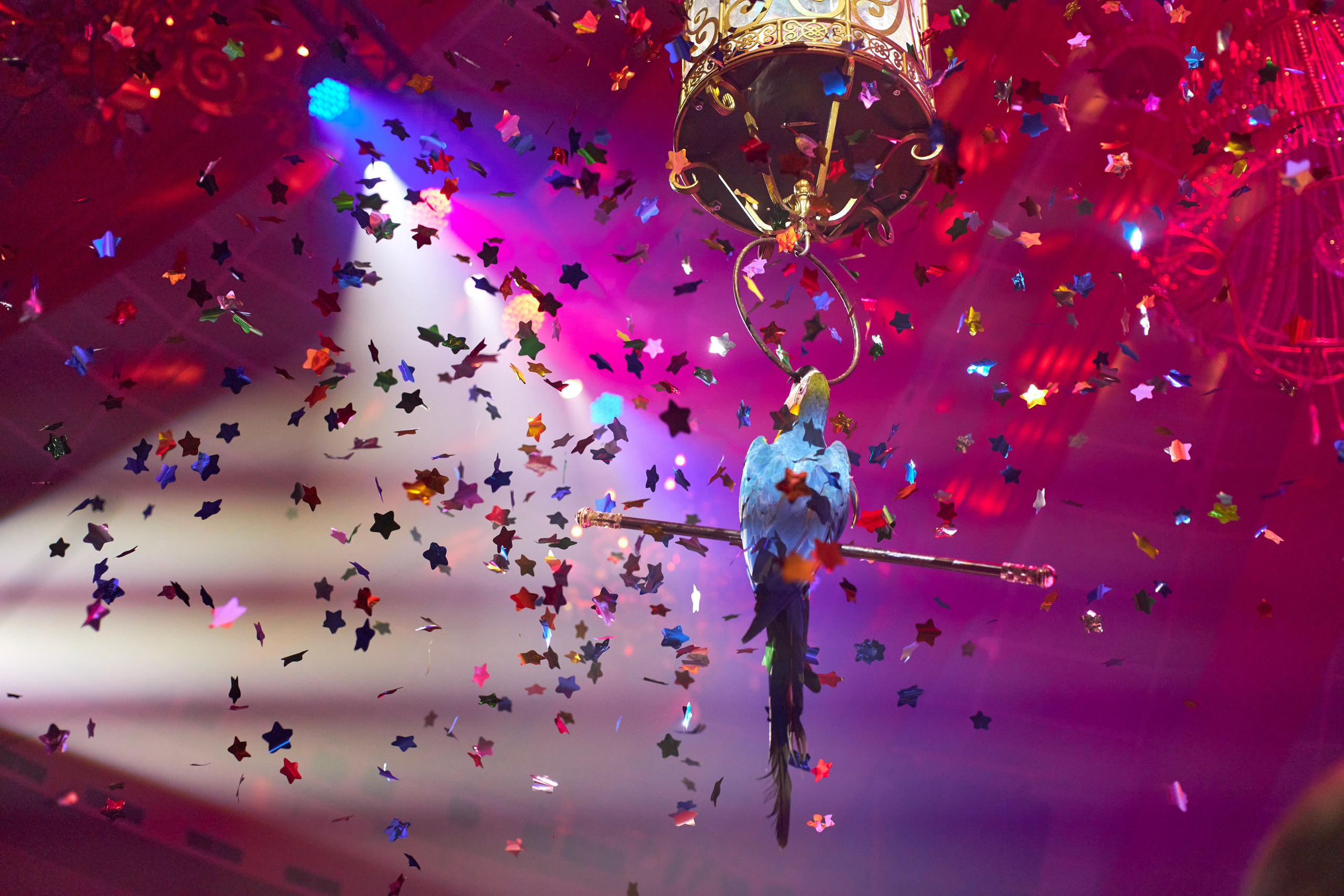 Съёмка Мероприятий. Фото и видеосъёмка в Ярославле | Грибов Медиа контент студия  — от 2500 ₽/час