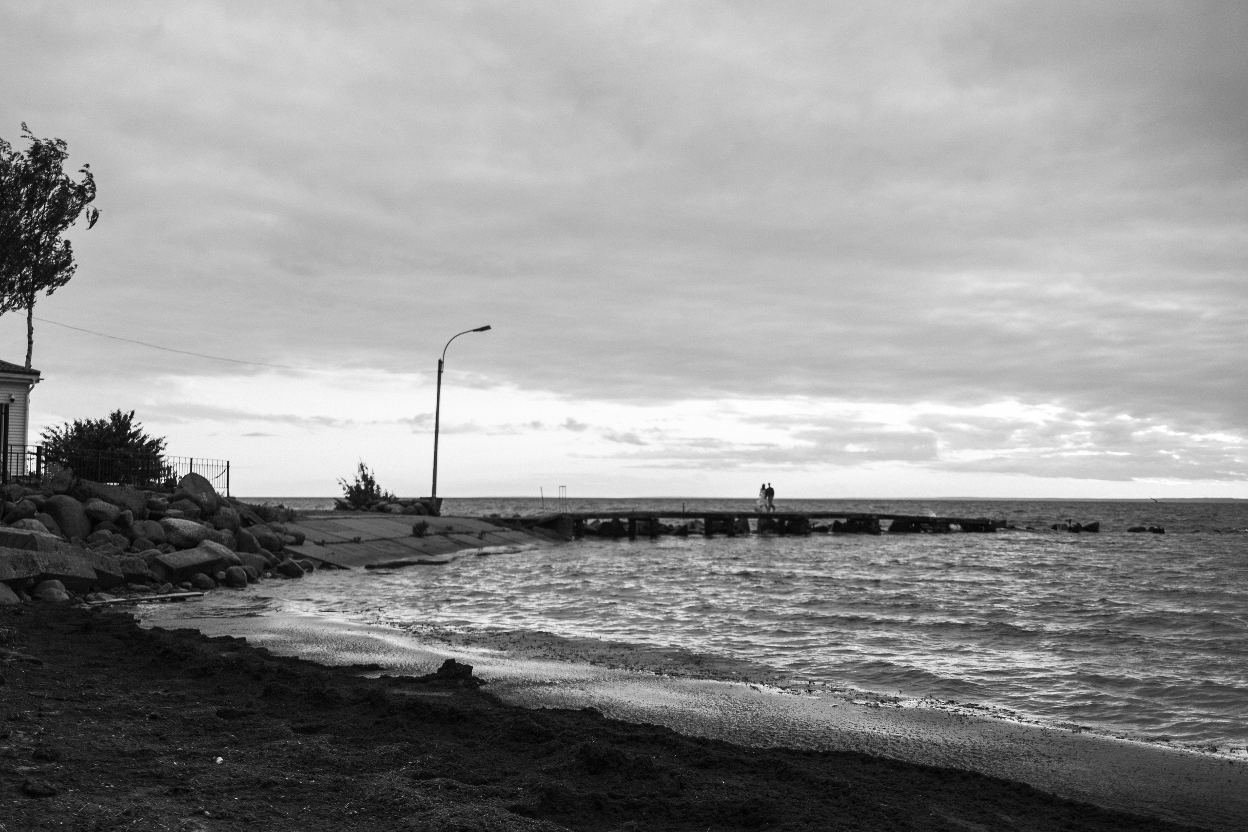 Лотти и ее семья. Фотограф — Анималист | Санкт-Петербург