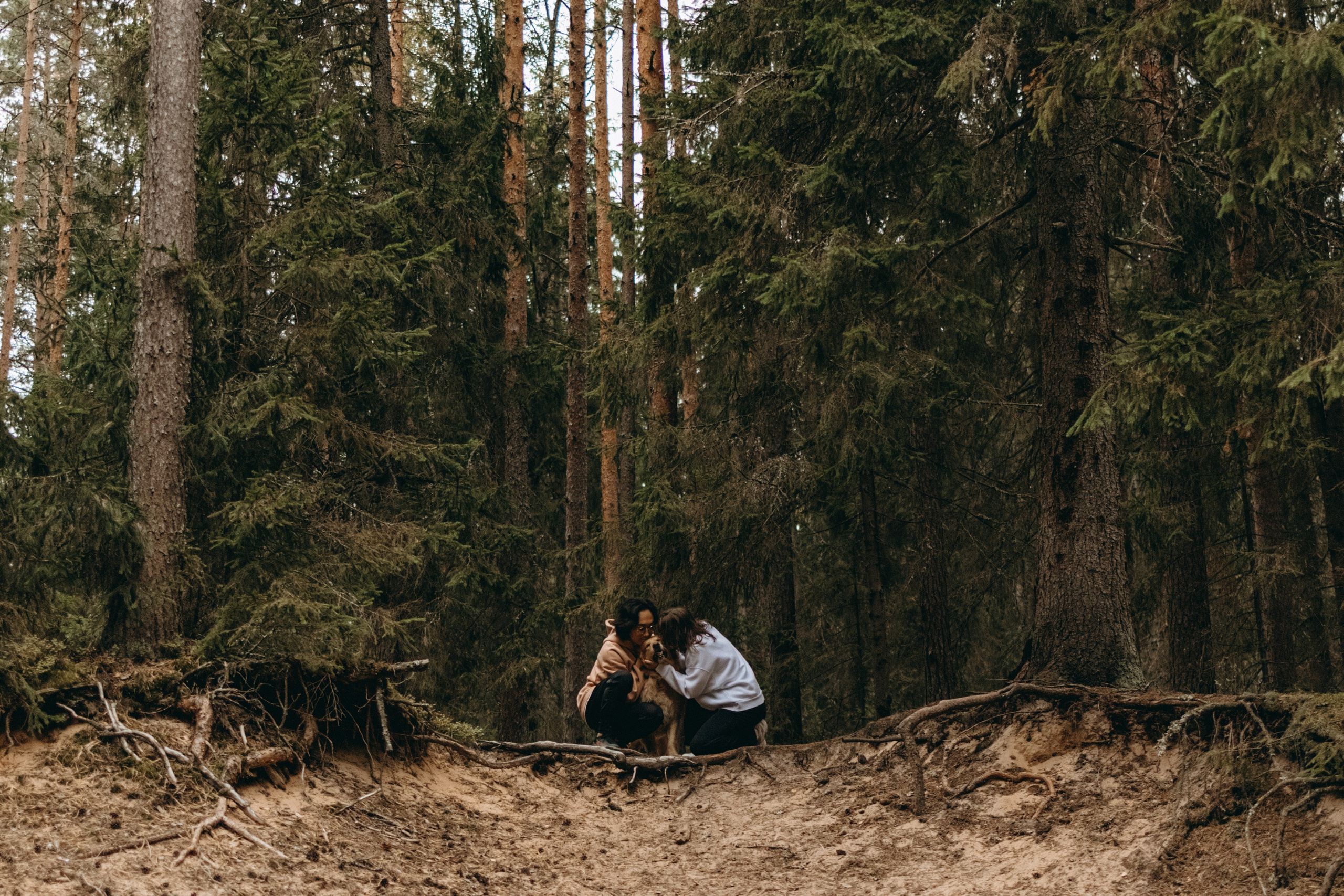 Фоси и его семьи. Фотограф — Анималист | Санкт-Петербург