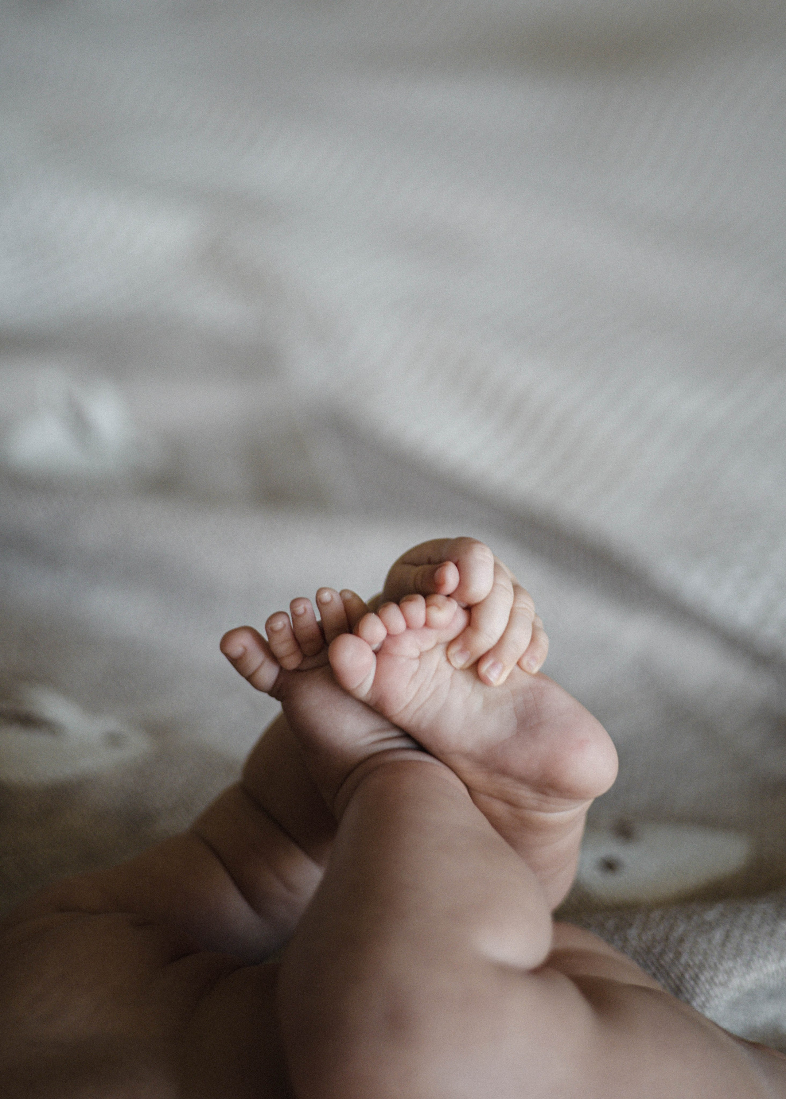 New born. Семейный и детский фотограф в Ростове-на-Дону Удалова Лина