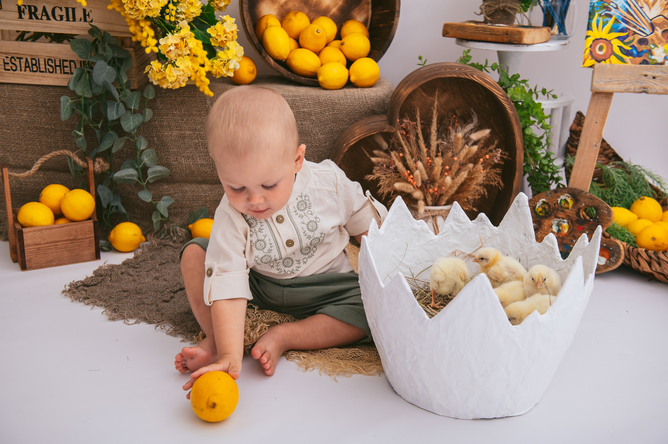 Цыплята. Детский фотограф Магадан