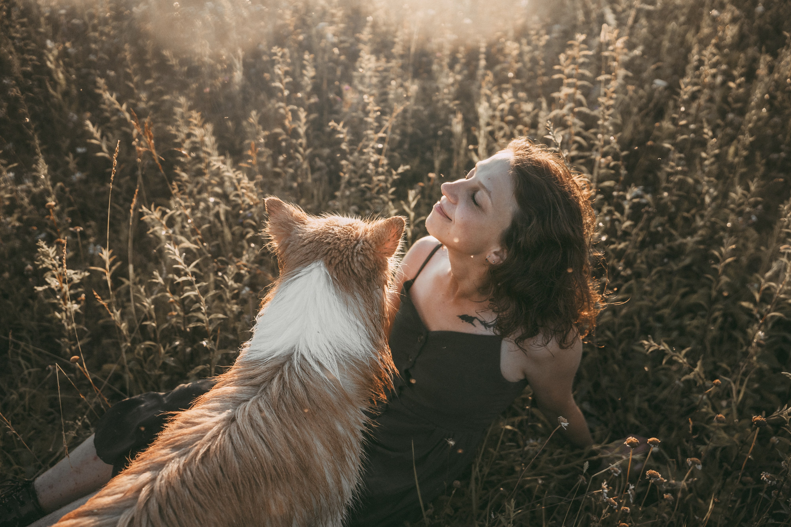Рина и Марси. Фотограф анималист в Москве и Санкт-Петербурге Свиридова Анна