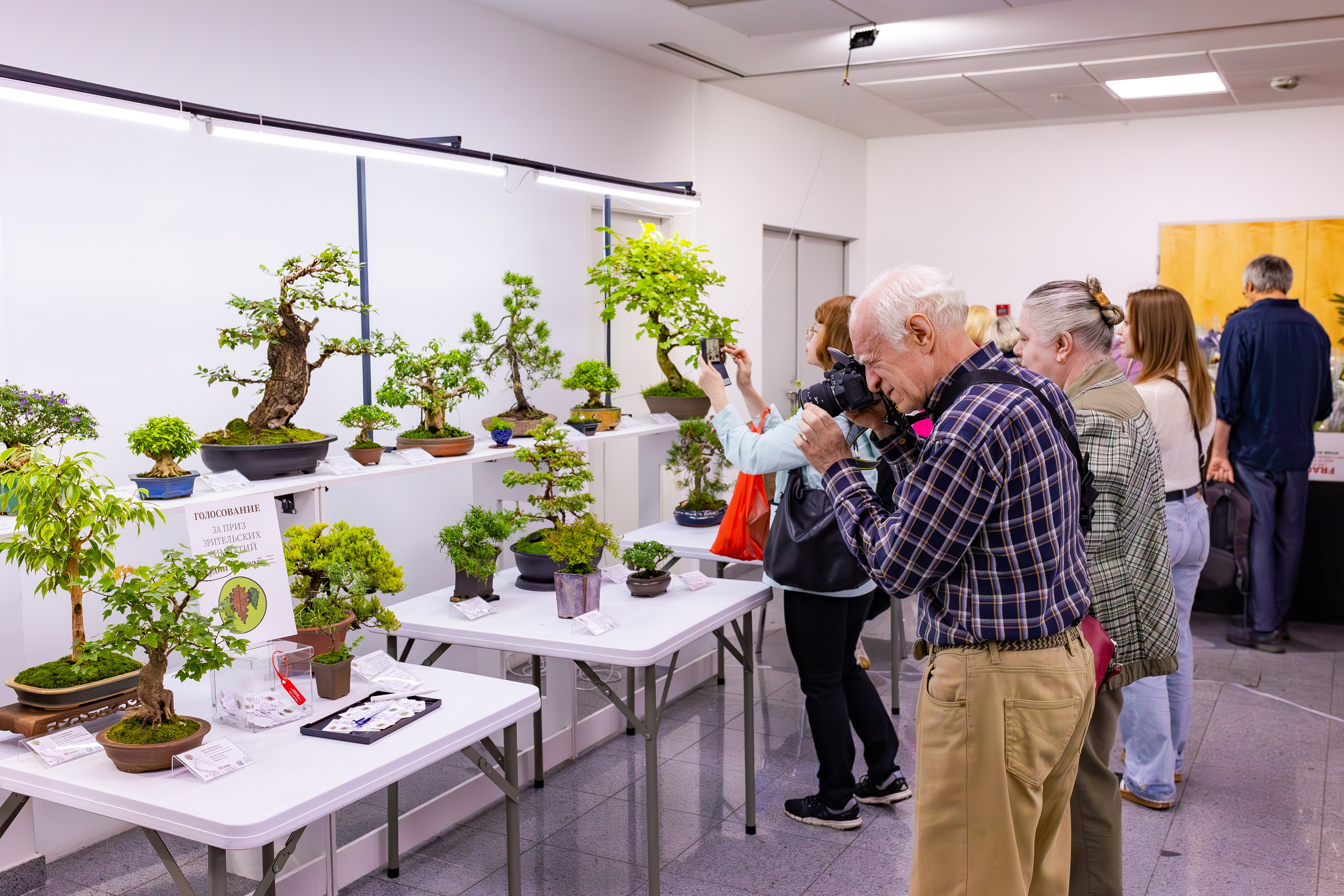 Орхидиум сентябрь 2025. Александра Куликова фотограф, Москва
