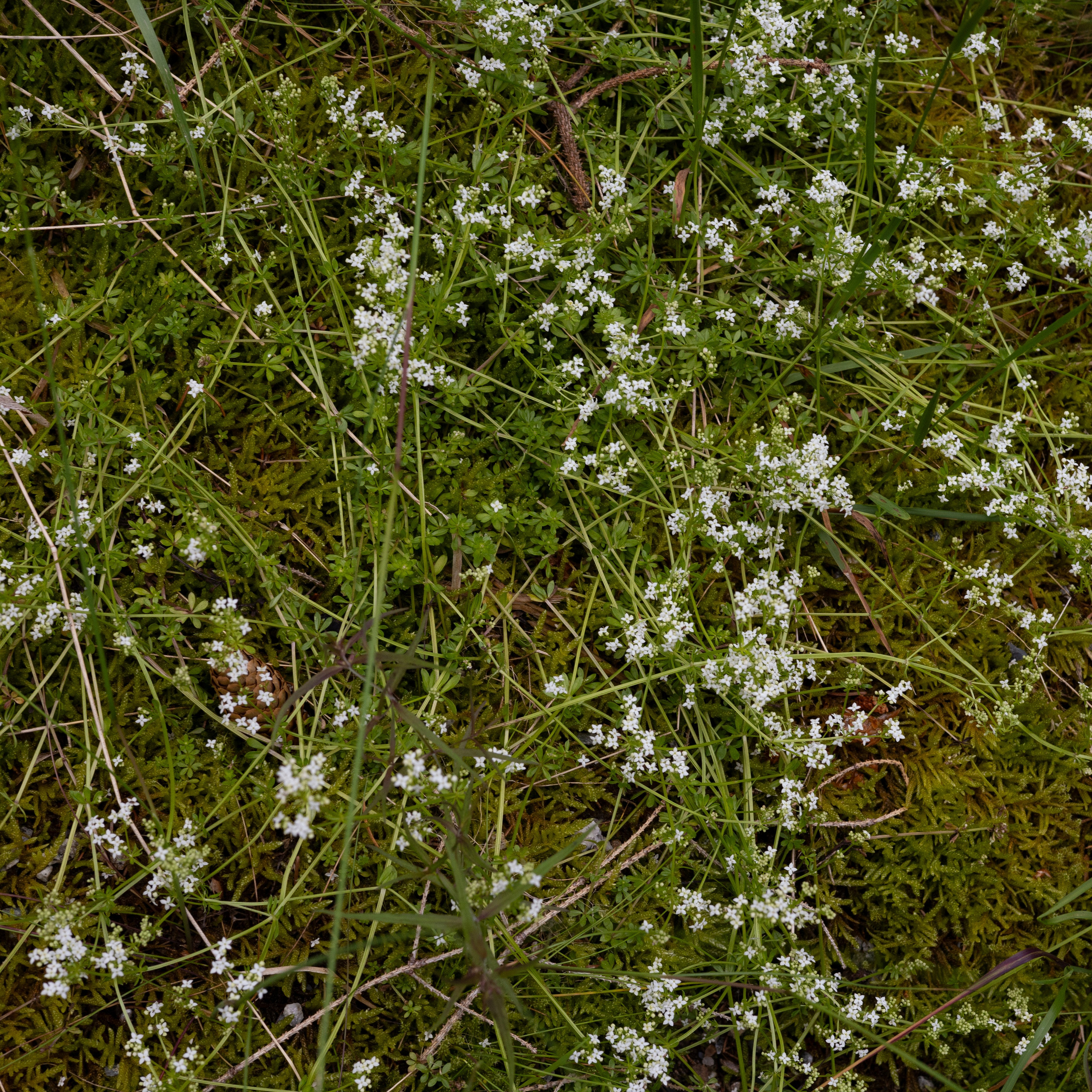 Bischofsgrün. ITMAG.ME | Visual Art