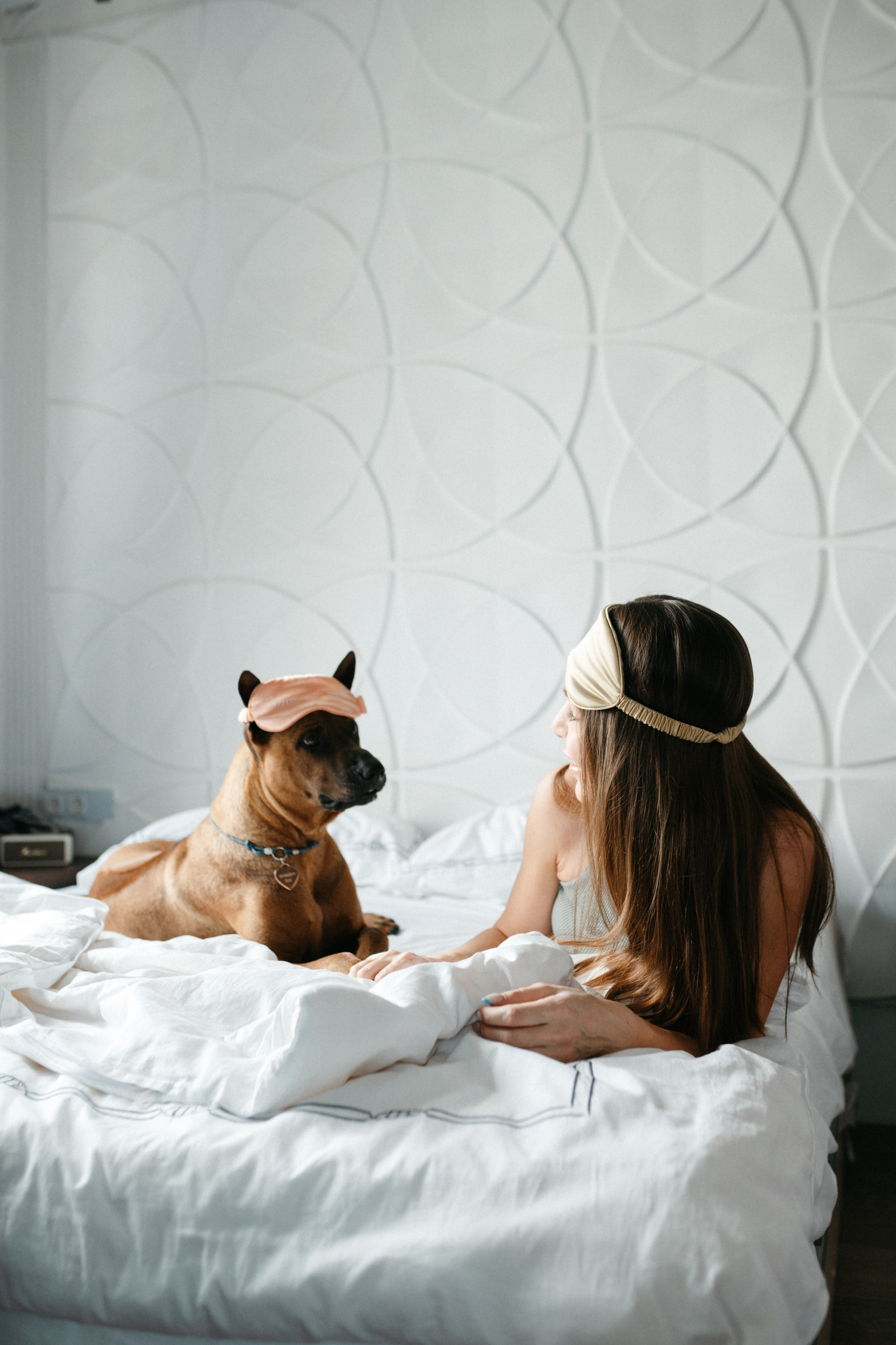 Оксана и Зевс. Фотограф анималист в Москве Ольга Агушева