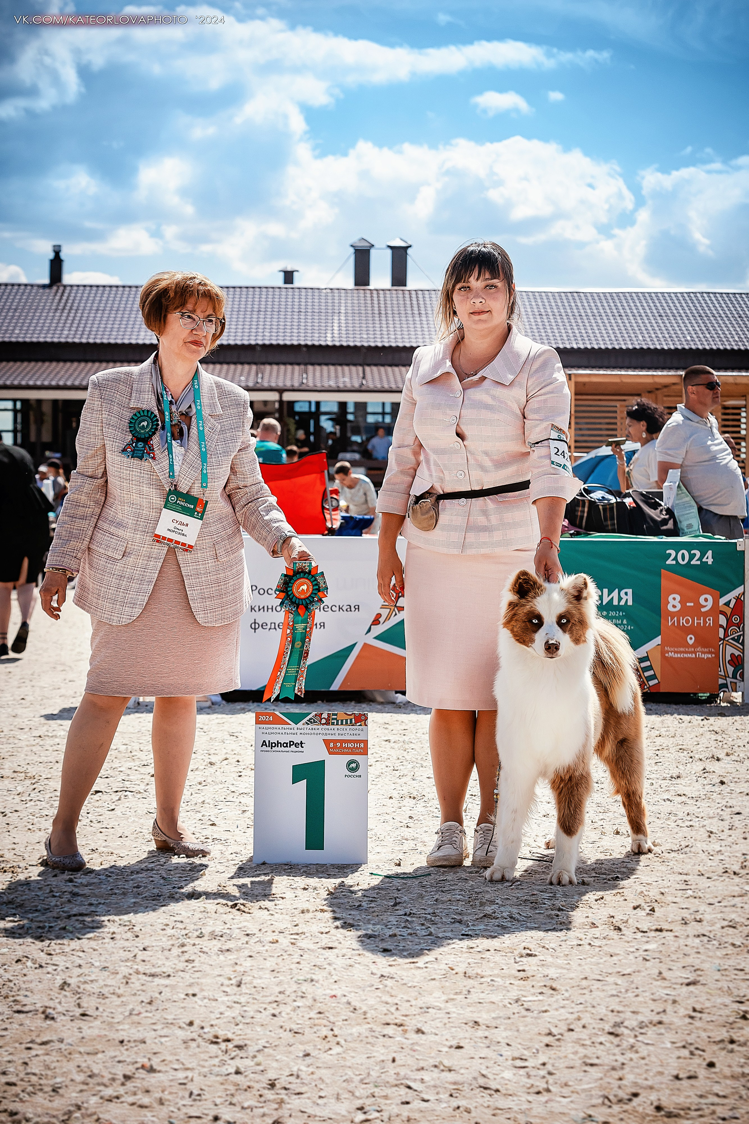 Фотосъемка собак, щенков, на выставках, фотограф анималист Россия воронеж. Питомник собак Акита, Хаски, Корги
