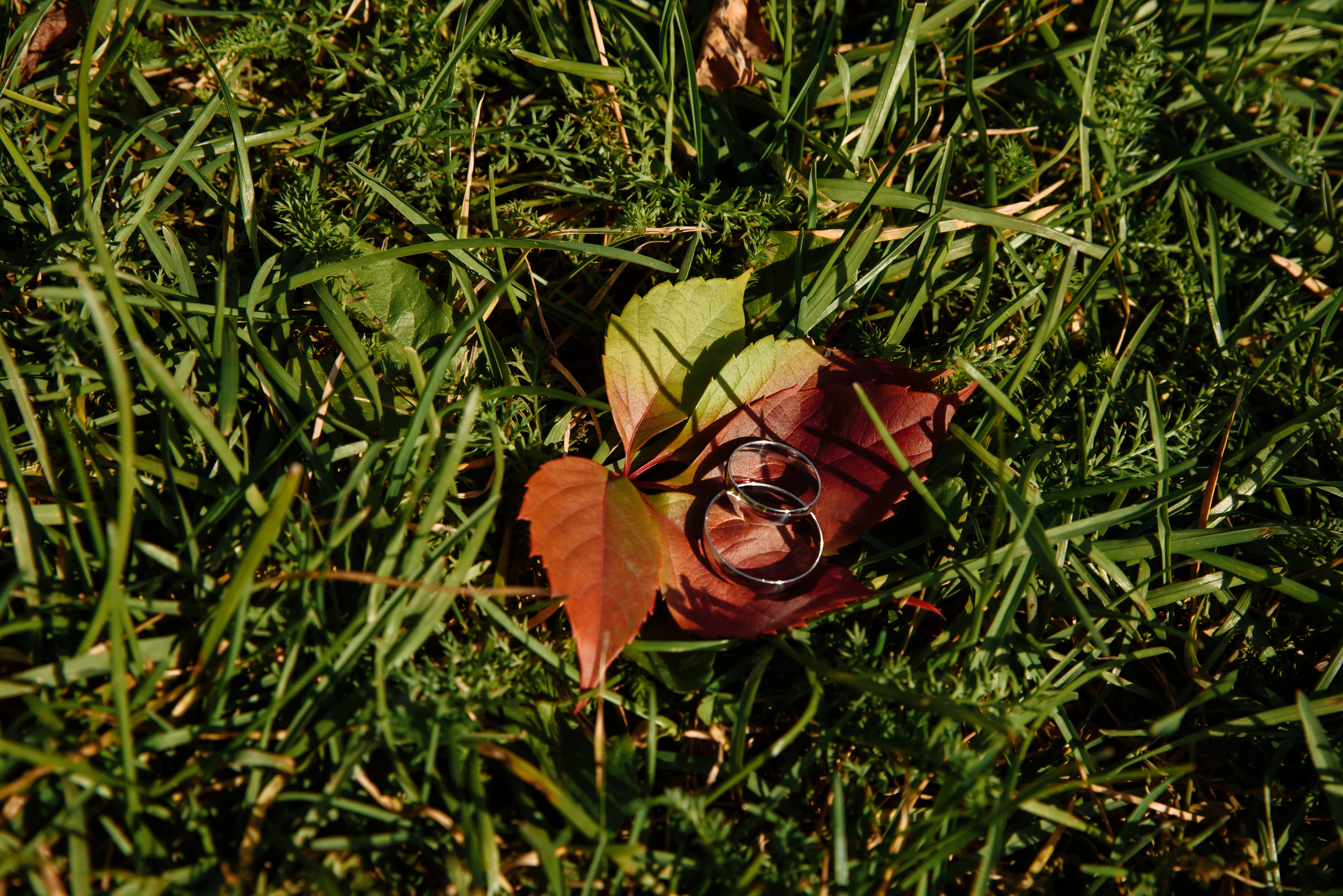 Оля и Алексей. Портретный фотограф Москва, репортаж и естественная постановка