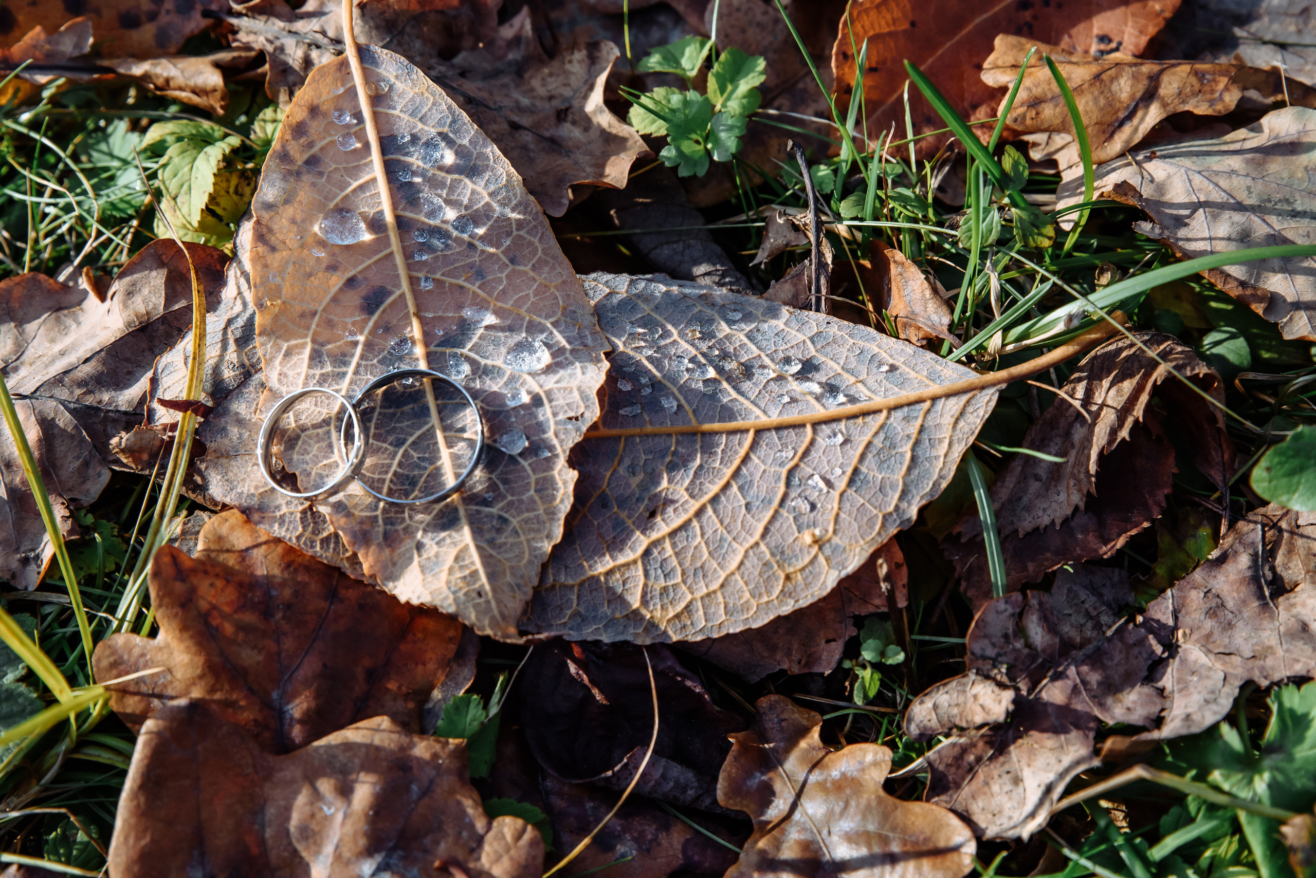 Оля и Алексей. Портретный фотограф Москва, репортаж и естественная постановка