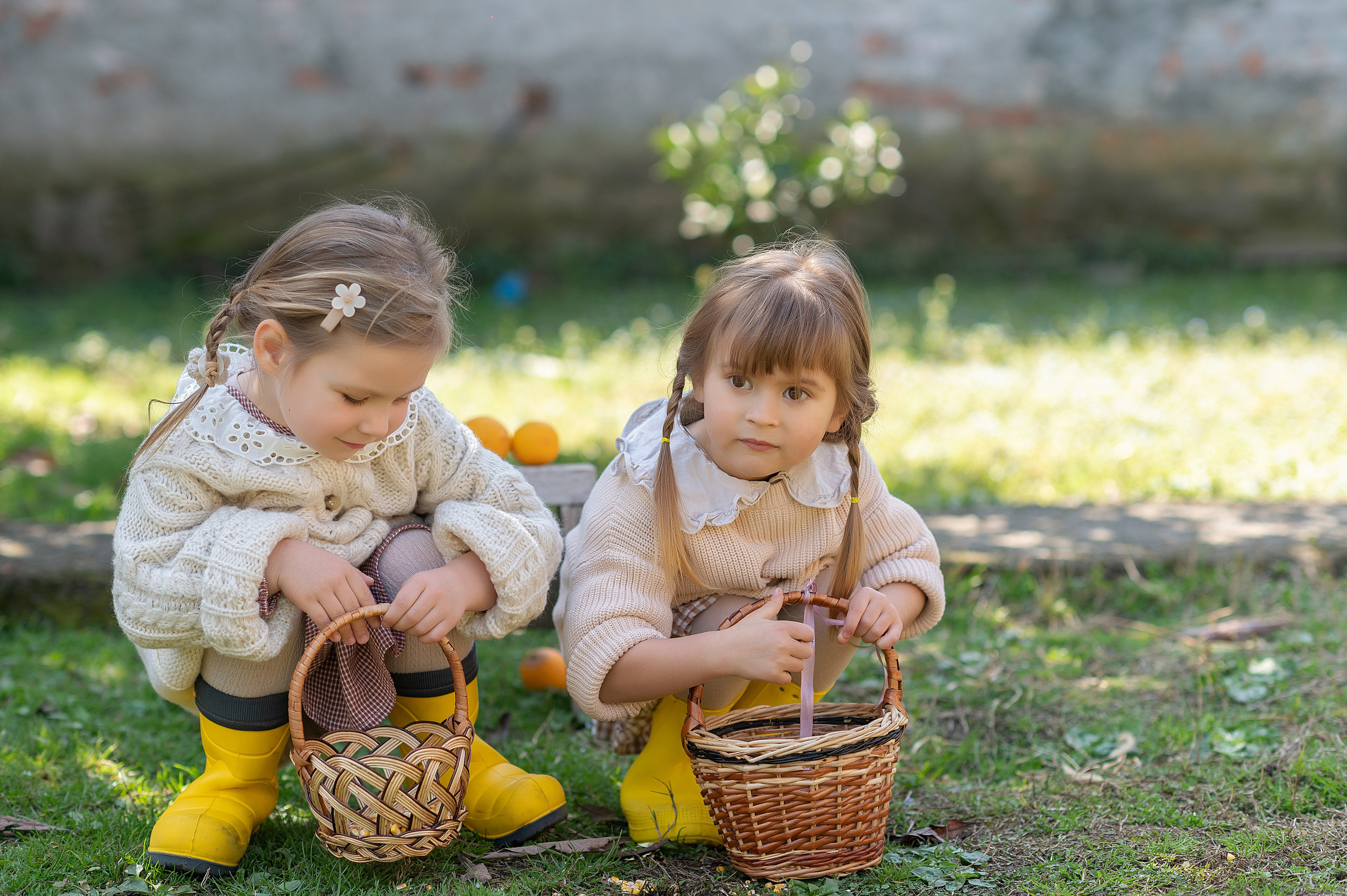 Курочки. Детский фотограф Абхазия