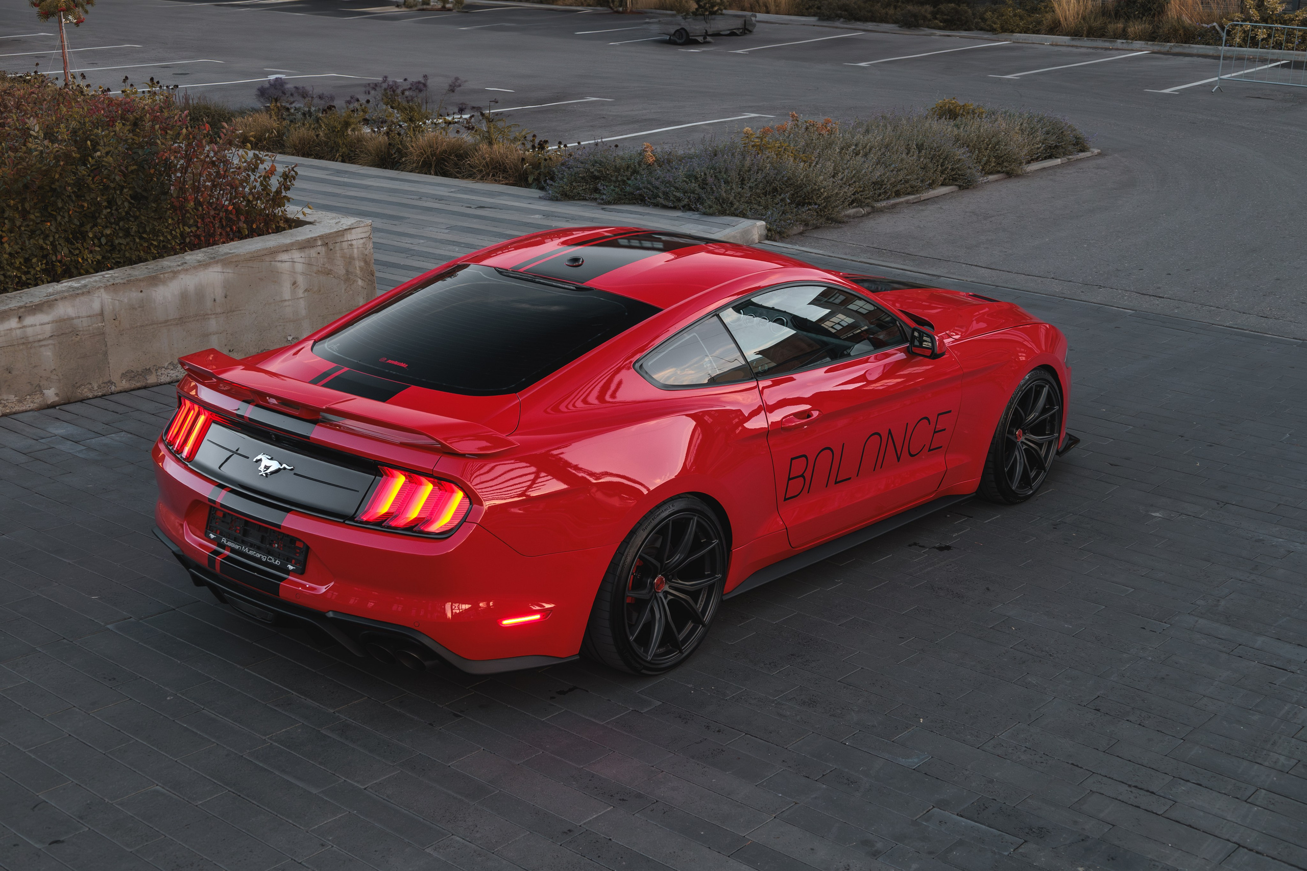 Mustang. Мелехов Дмитрий|Фотограф|Видеограф