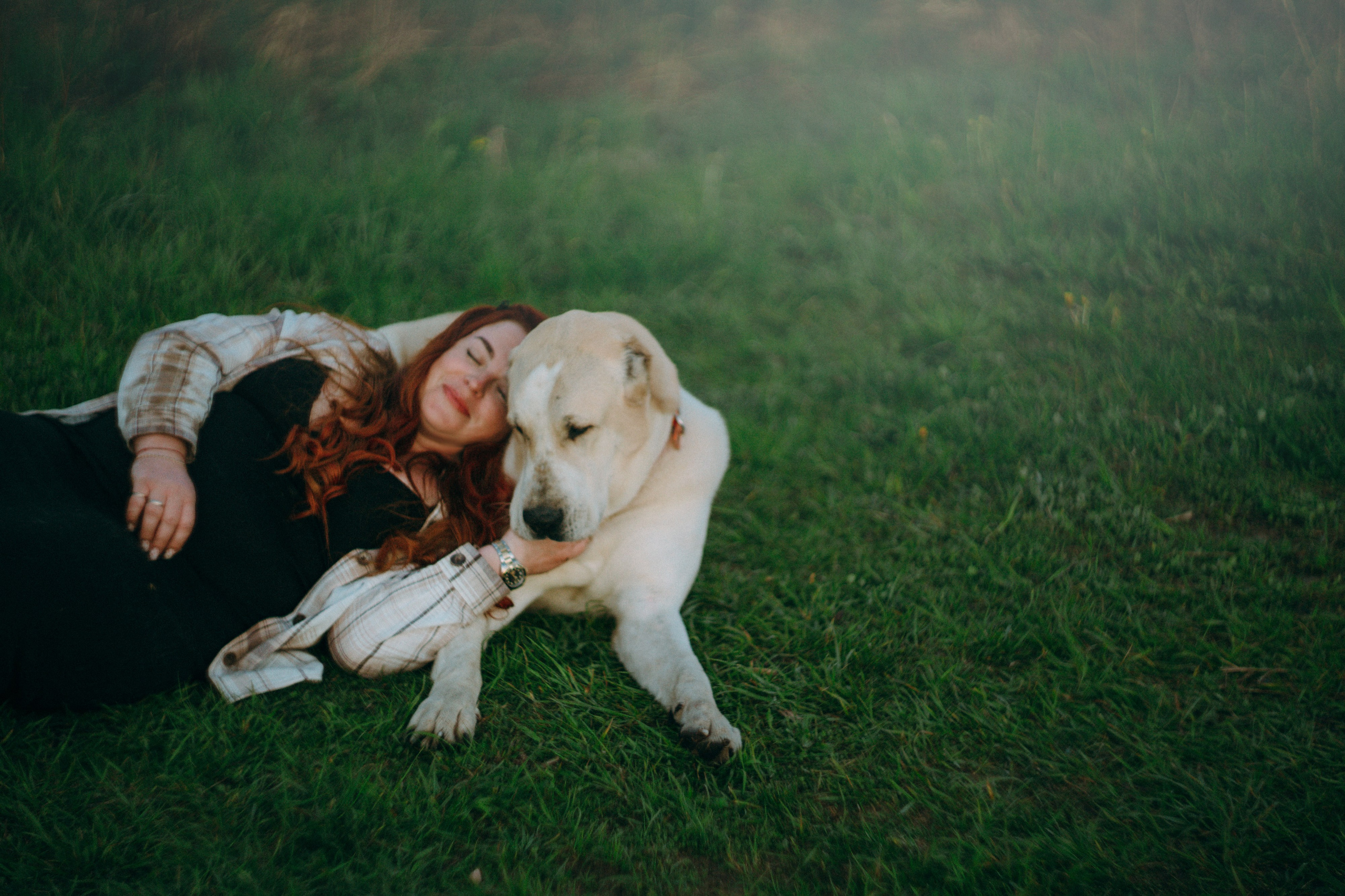 Настя и Рахат. Фотограф анималист в Москве и Санкт-Петербурге Свиридова Анна
