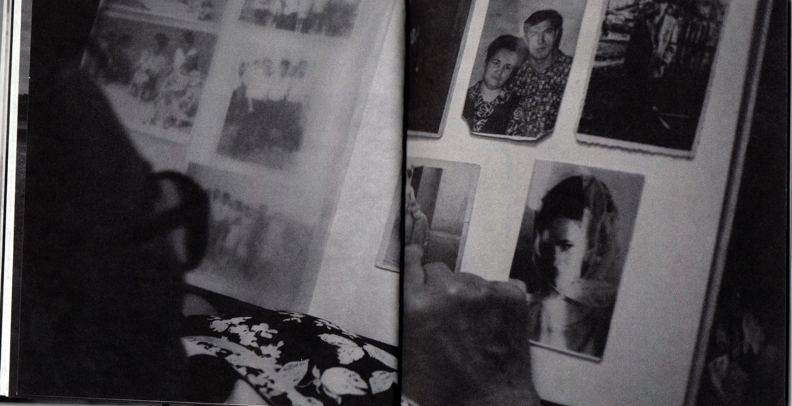 Деревья, которые дают сил. Фотограф Анна Кирнос