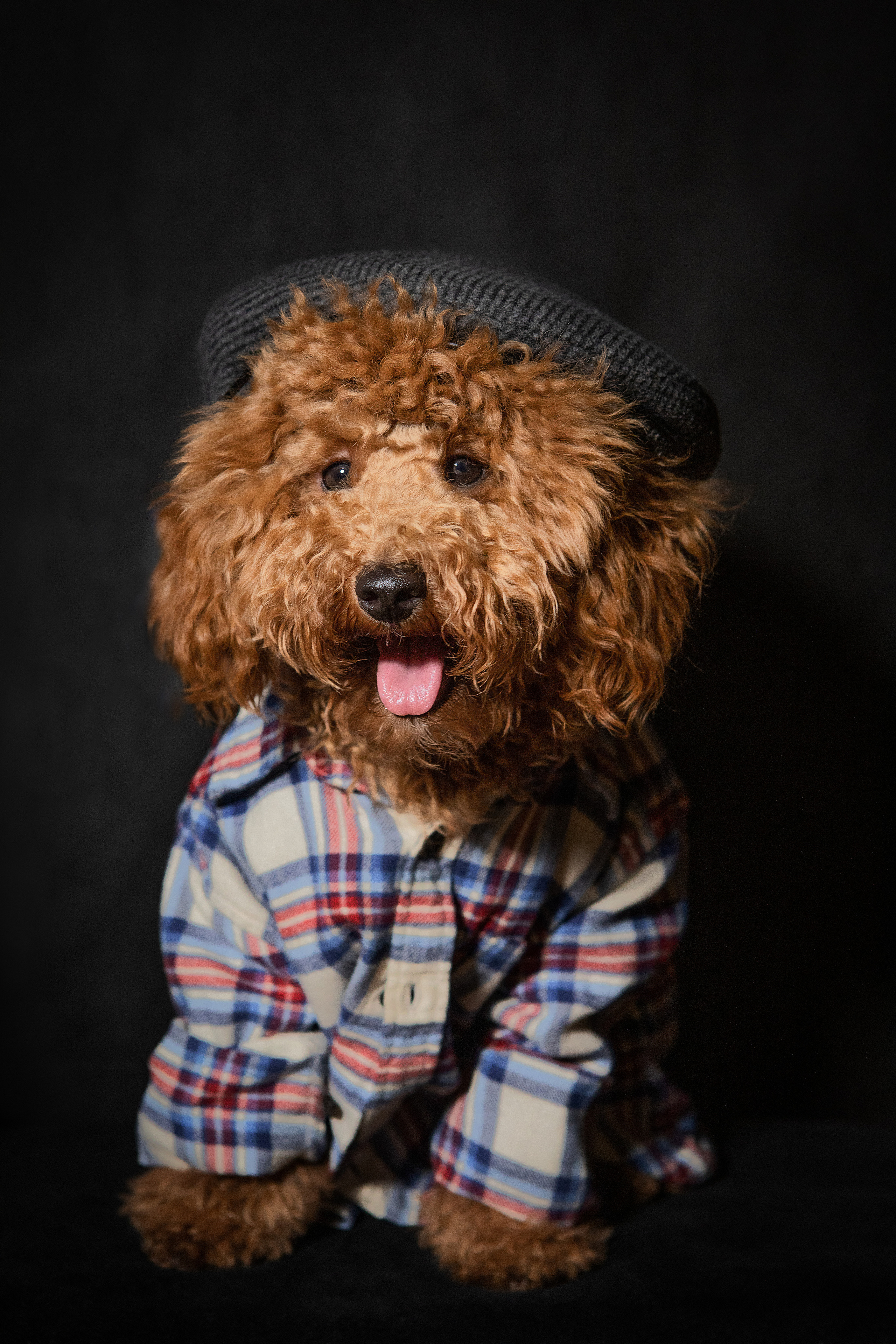 Портреты собак. Фотосессия под ключ в Москве — креативные, женские и семейные съёмки | Фотограф Анна Лебедева