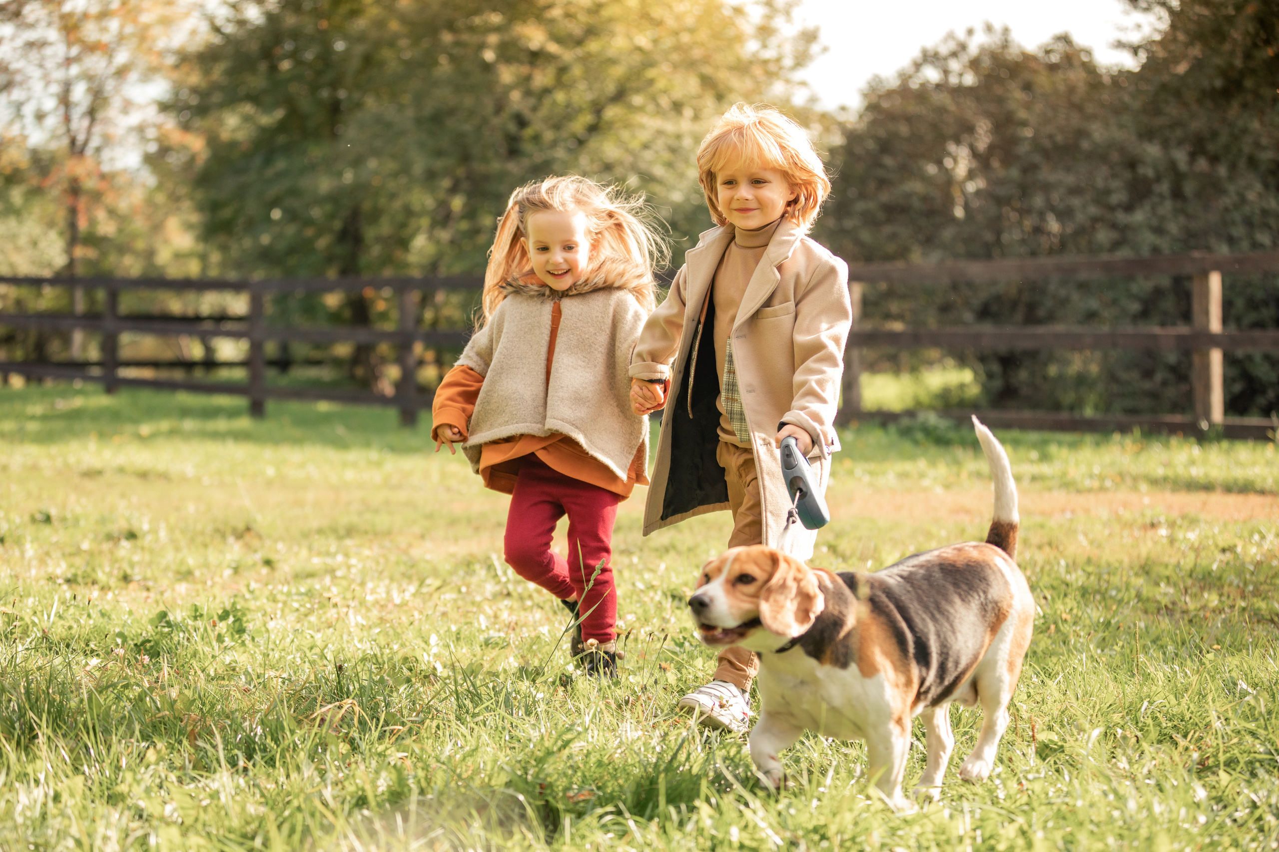 Анна Лебедева Фотограф детский семейная съемка женский портрет студийная съемка фотоконтент весенняя фотосессия фотопроект детская поля пшеницы москва цветение яблони люпины съемка с животными