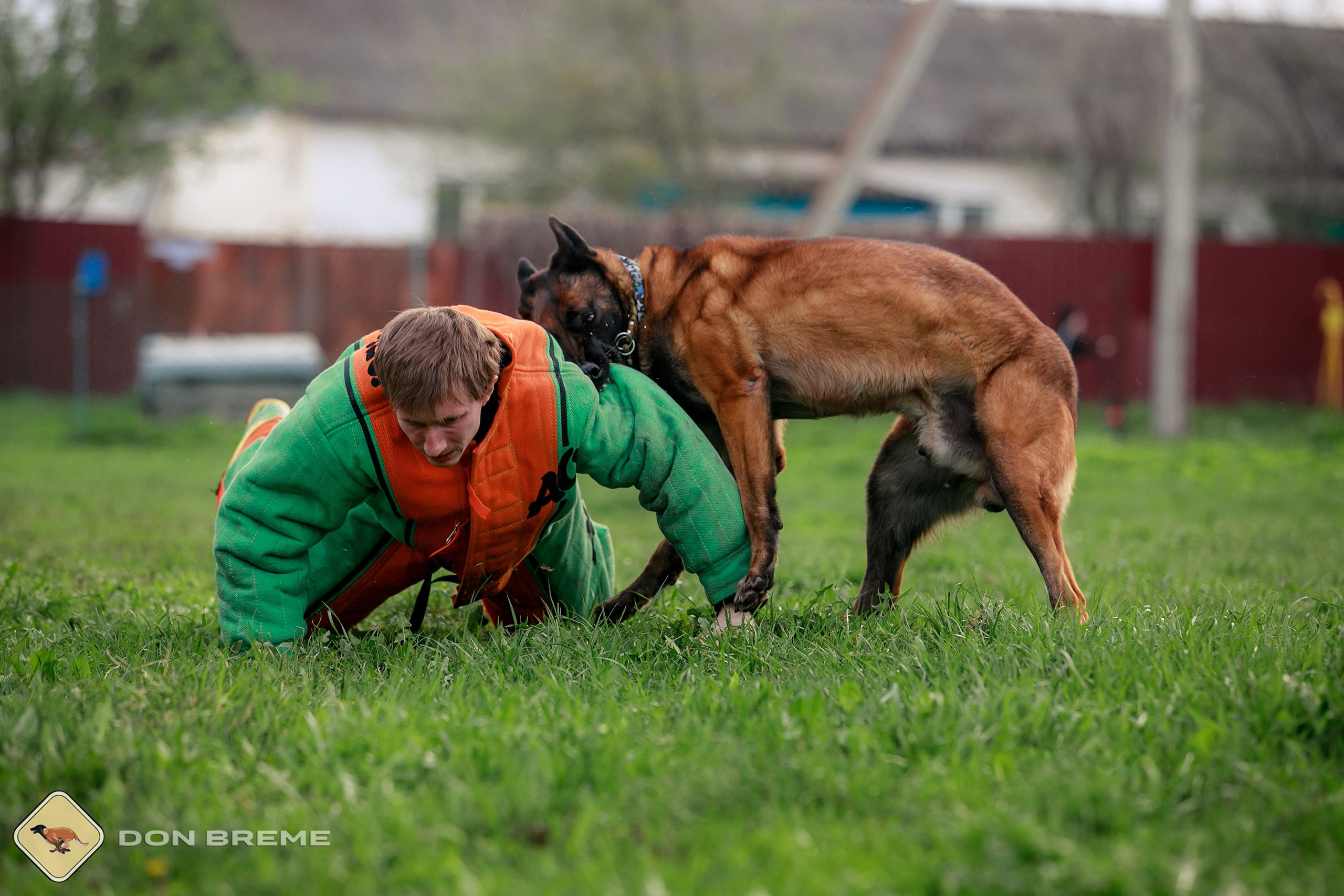 Семинар для фигурантов, день 2. Фотограф-анималист Mary Mart — Москва, Питер