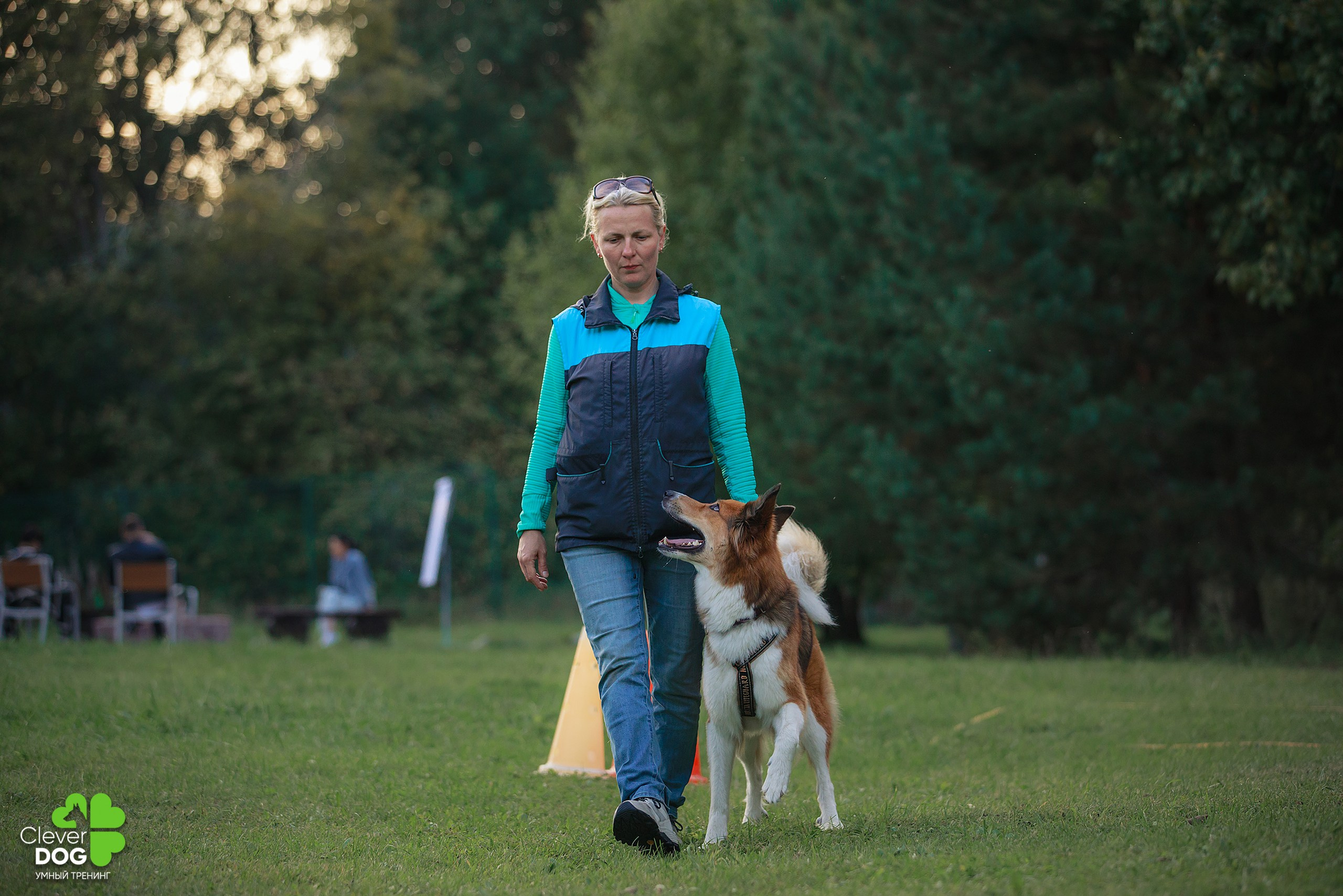 Кинологический лагерь CleverDog, 2024. Фотограф-анималист Mary Mart — Москва, Питер
