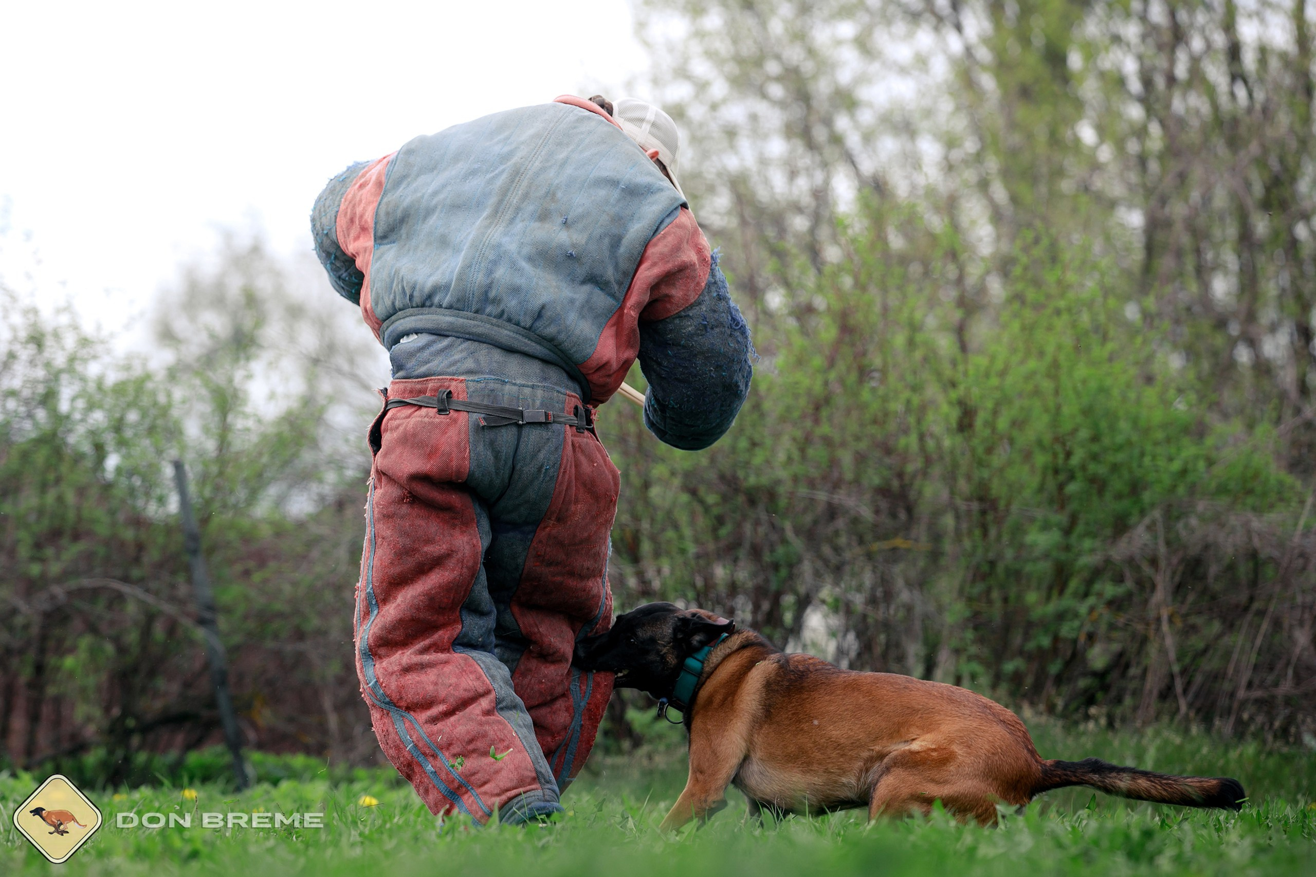 Семинар для фигурантов, день 2. Фотограф-анималист Mary Mart — Москва, Питер