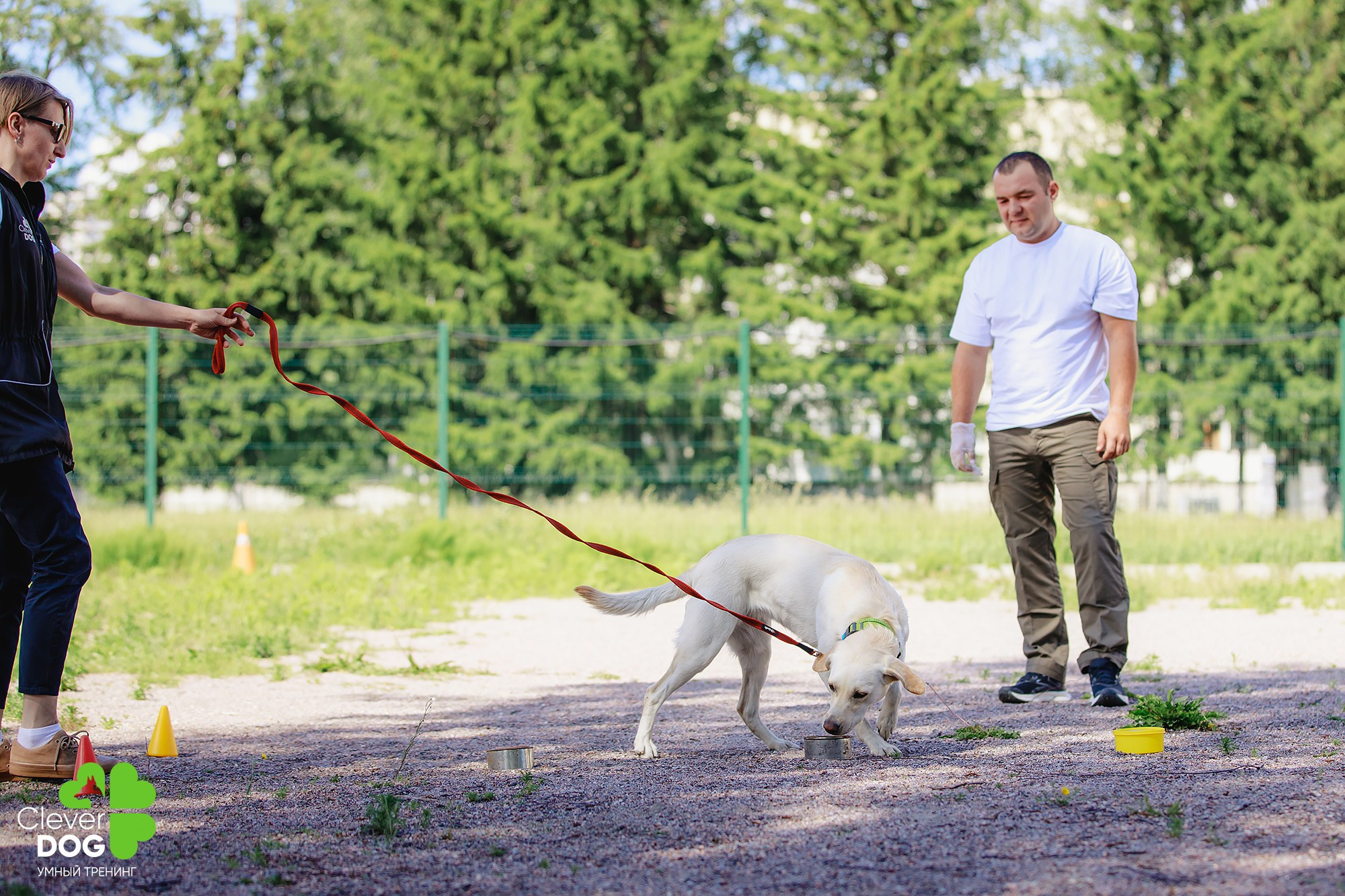 Семинар по поиску запаха с Иваном Ломовым, организатор CleverDog, СПб. Фотограф-анималист Mary Mart — Москва, Питер