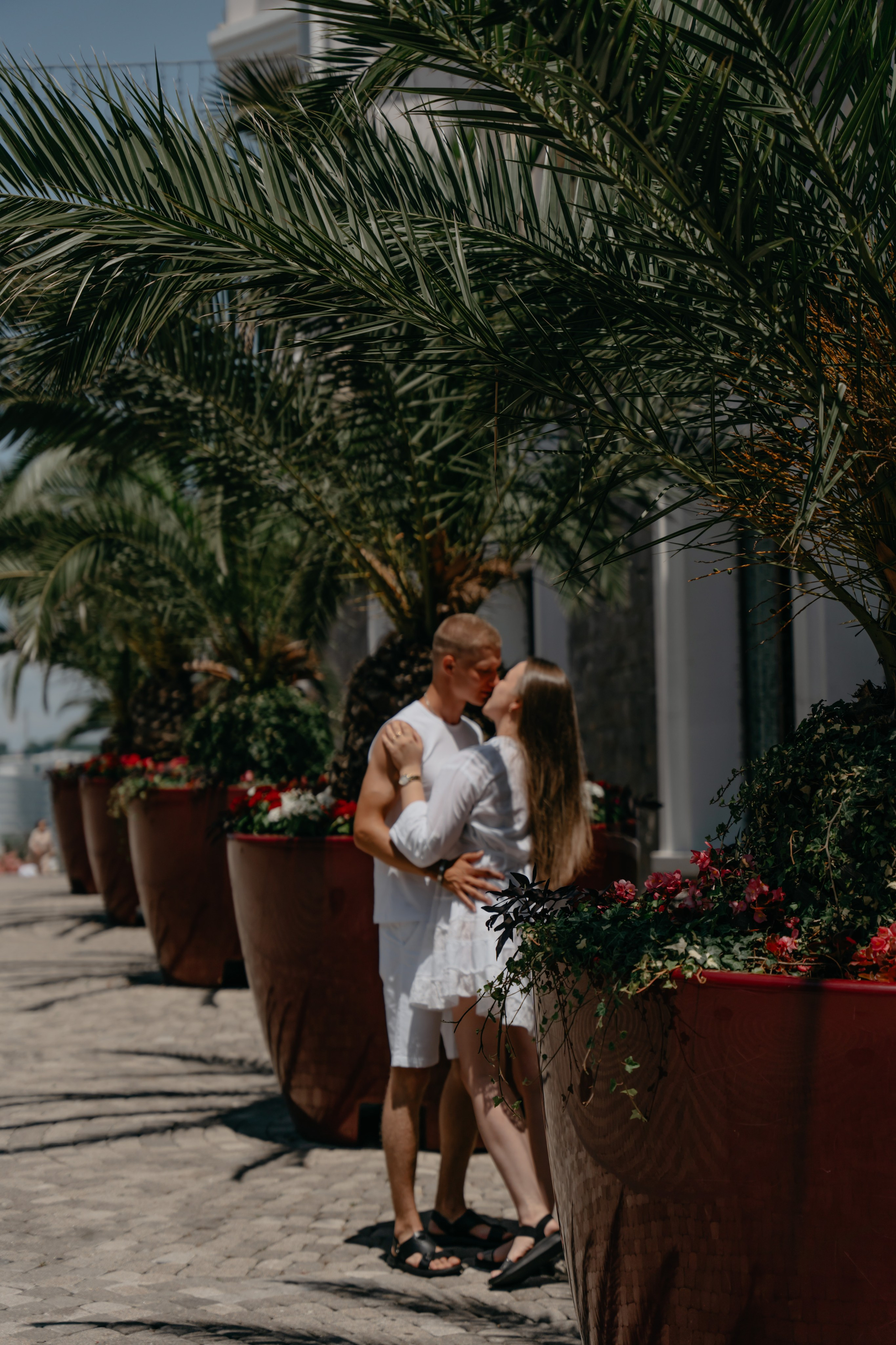 Увози за сто морей