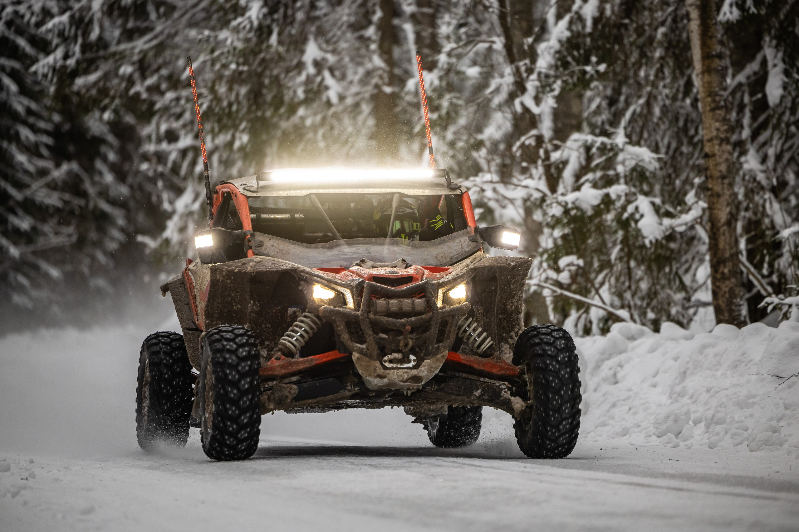 Ралли СеверныйЛес