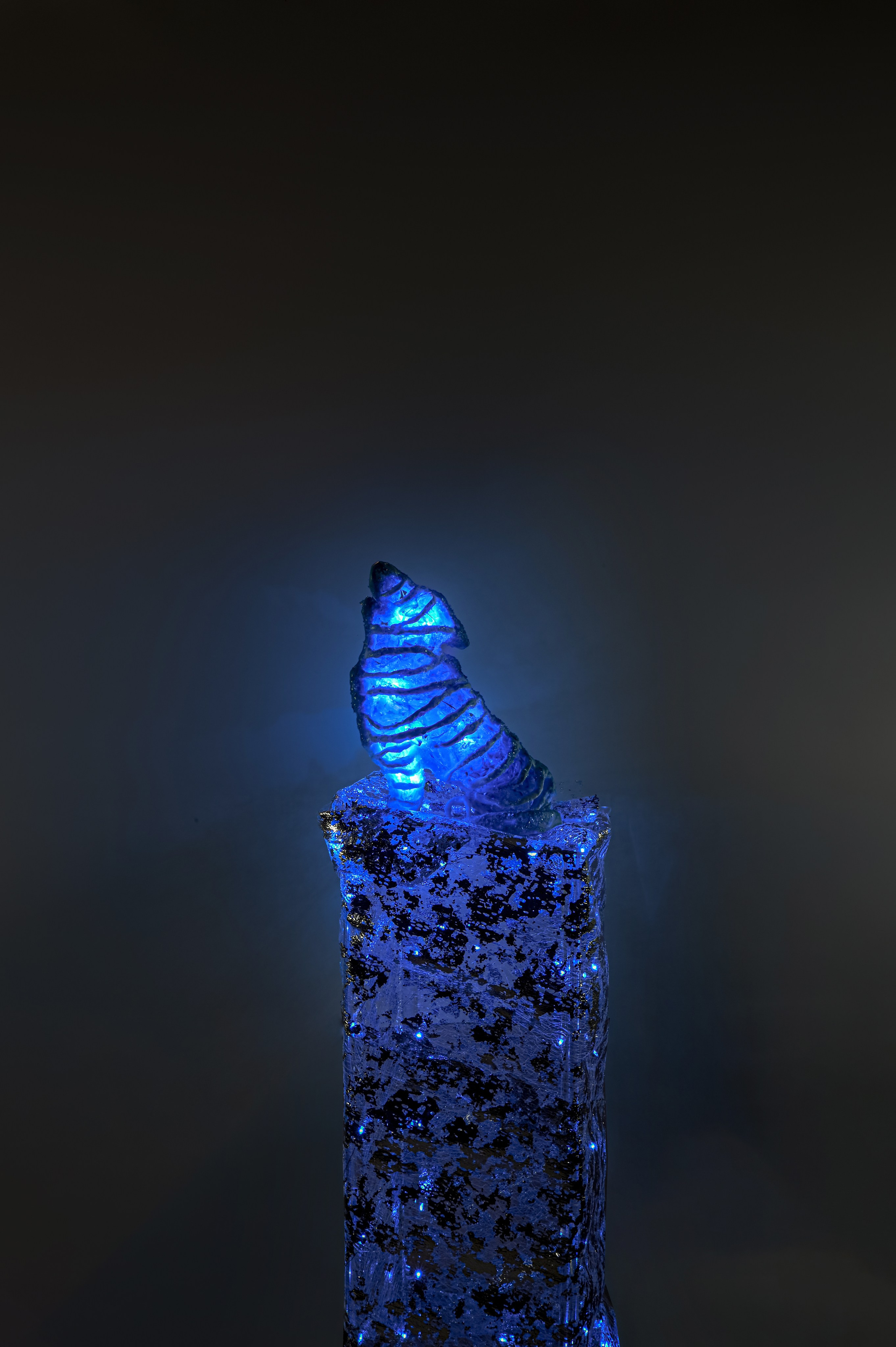 Проект «Призраки» 2024 - 2025гг.  Волк острова Банкс - 1920г. размер : стойка 60 см, фигура 25 см на 20 см. Пластик, люминесцентная акриловая краска, полиэтилен, стеклянная крошка, эпоксидная смола. В последние несколько десятилетий тема загрязнения окружающей среды и изменения климата получила широкую огласку. И тревога по поводу вымирания биологических видов не является надуманной.Но человек уже давно привык к таким новостям.Поэтому в своем проекте я не буду углубляться в детали этой проблемы. Моя цель – показать исчезнувшие виды животных, которые мы потеряли в последнее время. Это «призраки» из пластика и полиэтилена, хотя не так давно они были сильными, дикими и свободными животными. К каждой работе дана подпись с указанием вида животного и официального года его исчезновения.