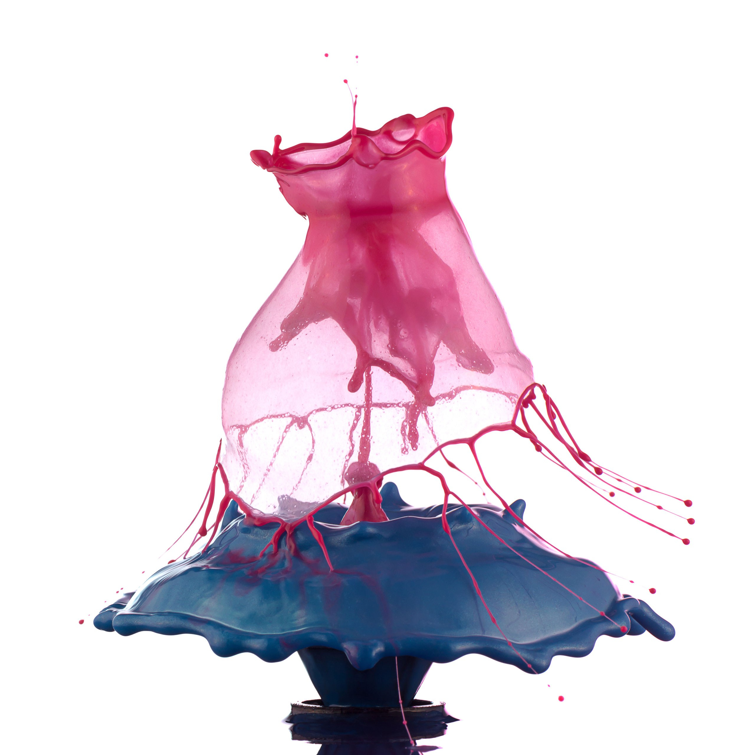 Капли XXL с медузами. Скульптуры из воды Сергея Толмачева