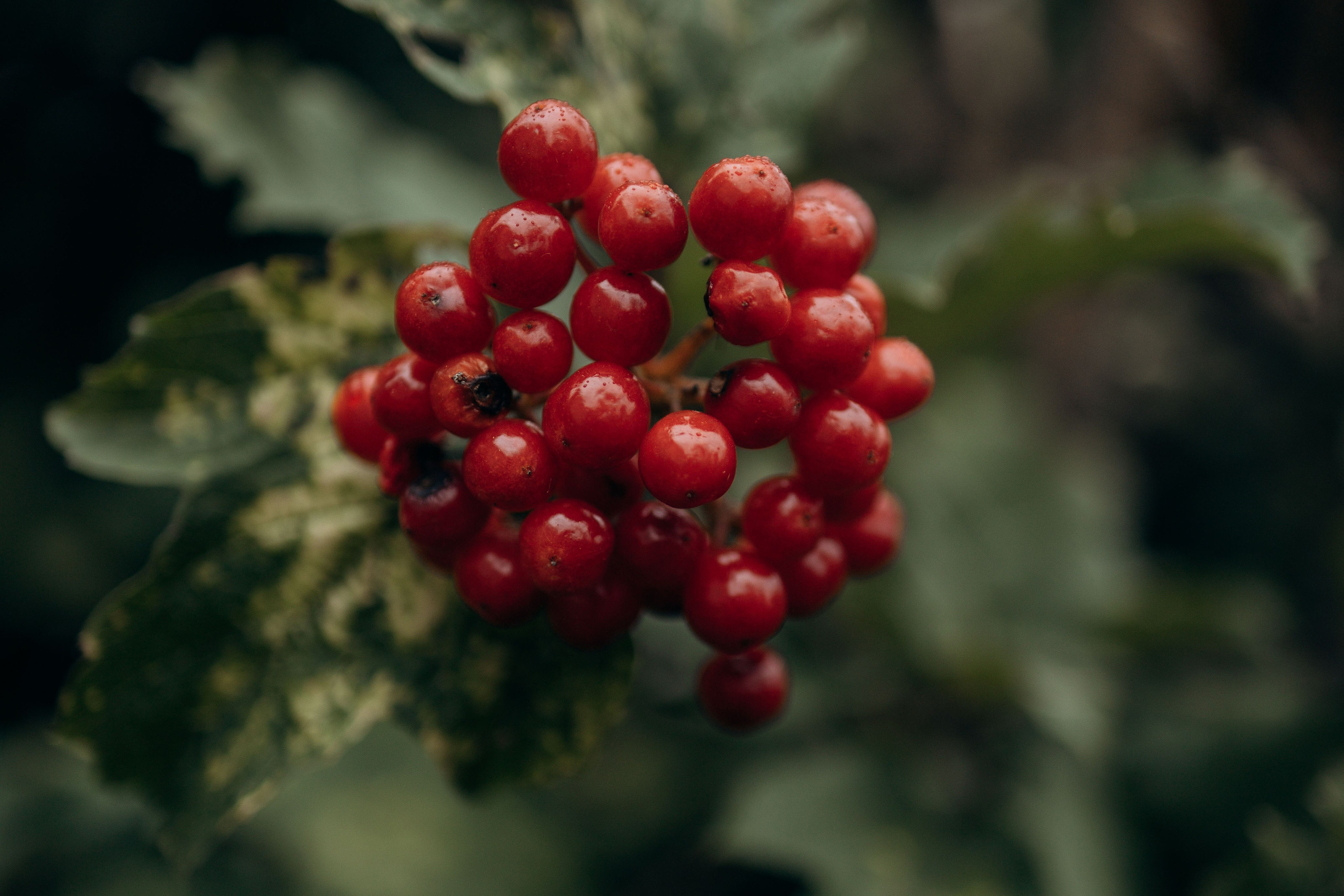 Семья Марины