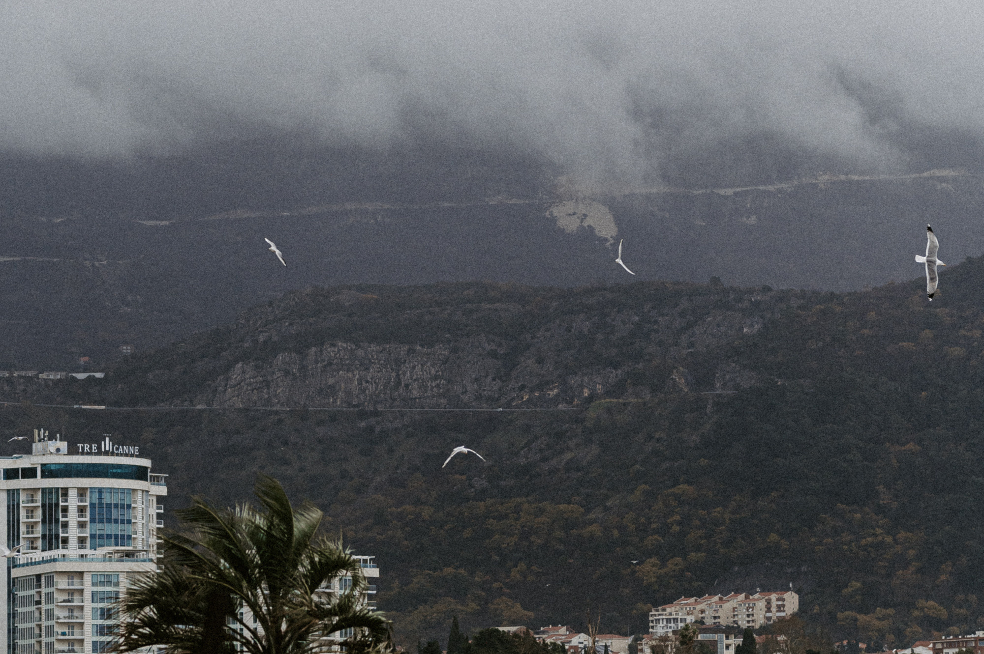 2023 Черногория. Открытки. Свадебный фотограф Абрамова Ксения