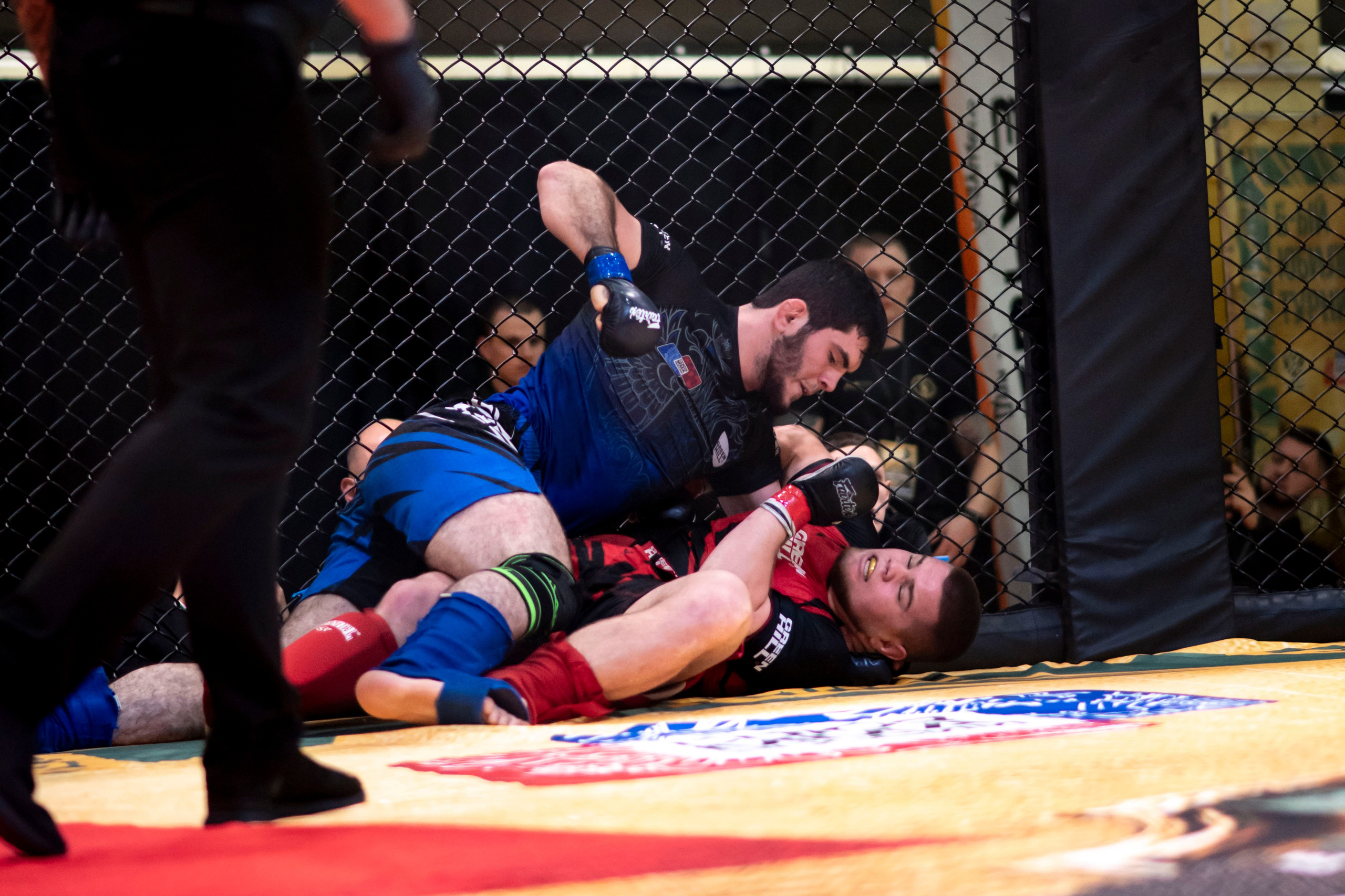 Всероссийский турнир ММА. Новомосковск, ноябрь 2025. Спортивный фотограф в Туле и Тульской области. Файсханова Фото Спорт