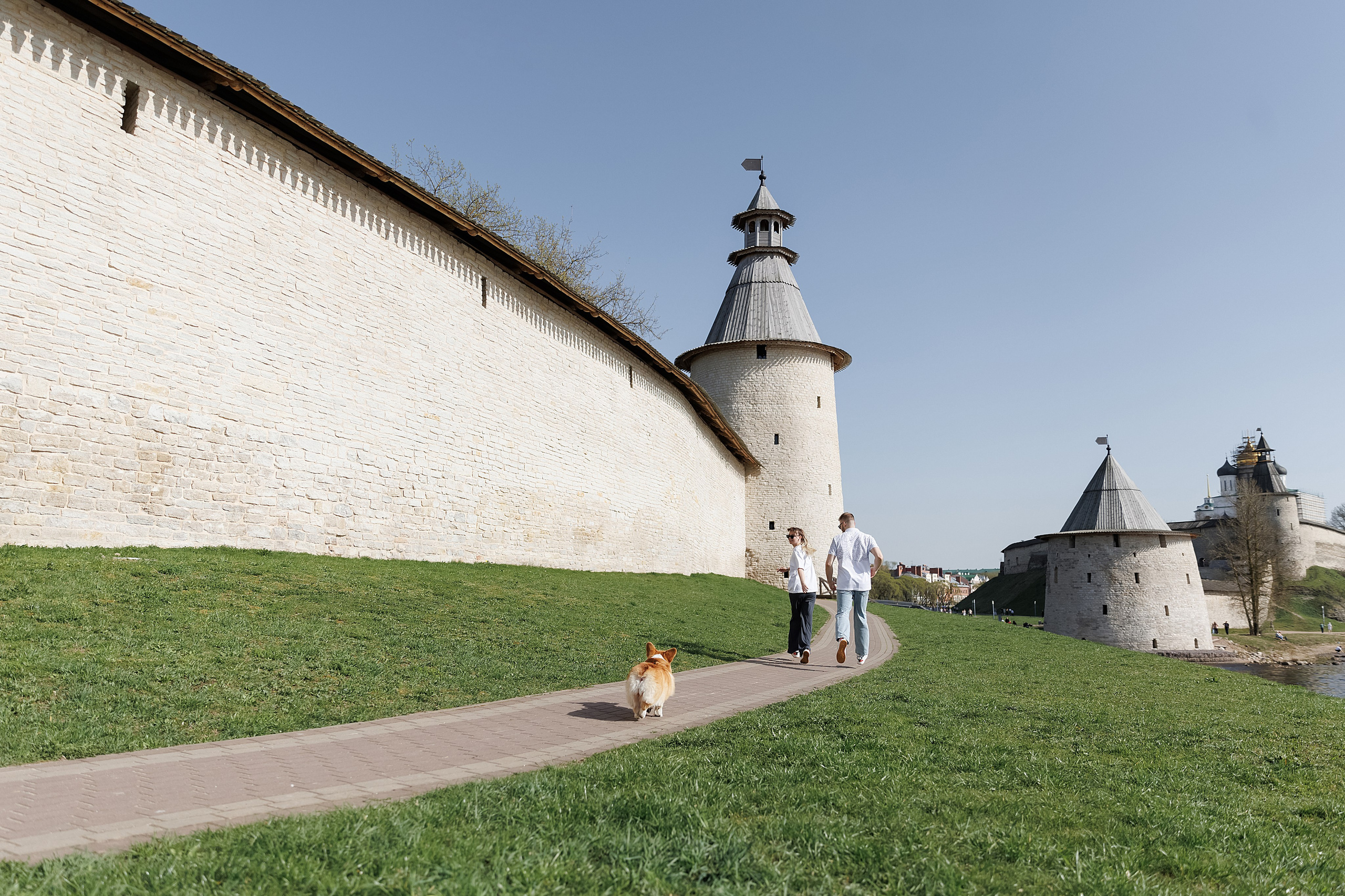 С коржиком Капой. Свадебный фотограф в Пскове и Санкт-Петербурге | Анна Голикова