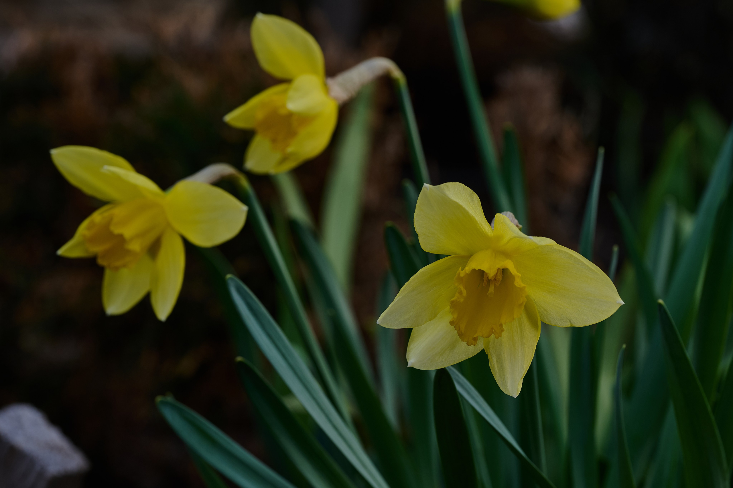 Мелитополь. Фотопроект «Территории»