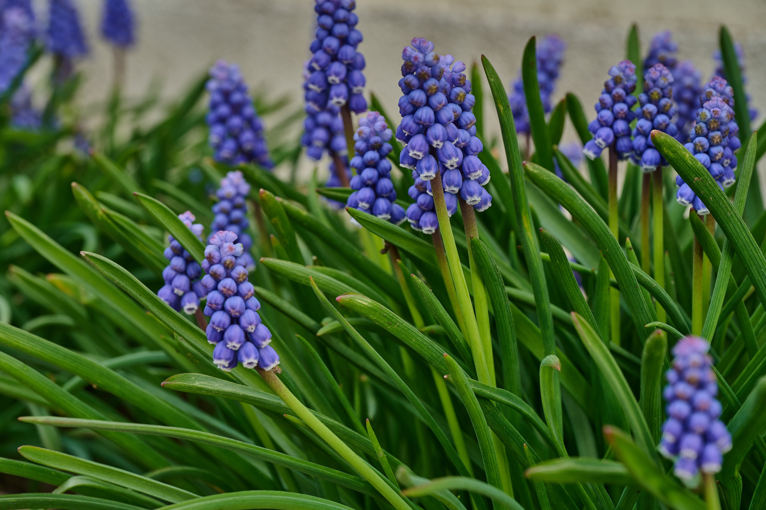 Мелитополь. Фотопроект «Территории»