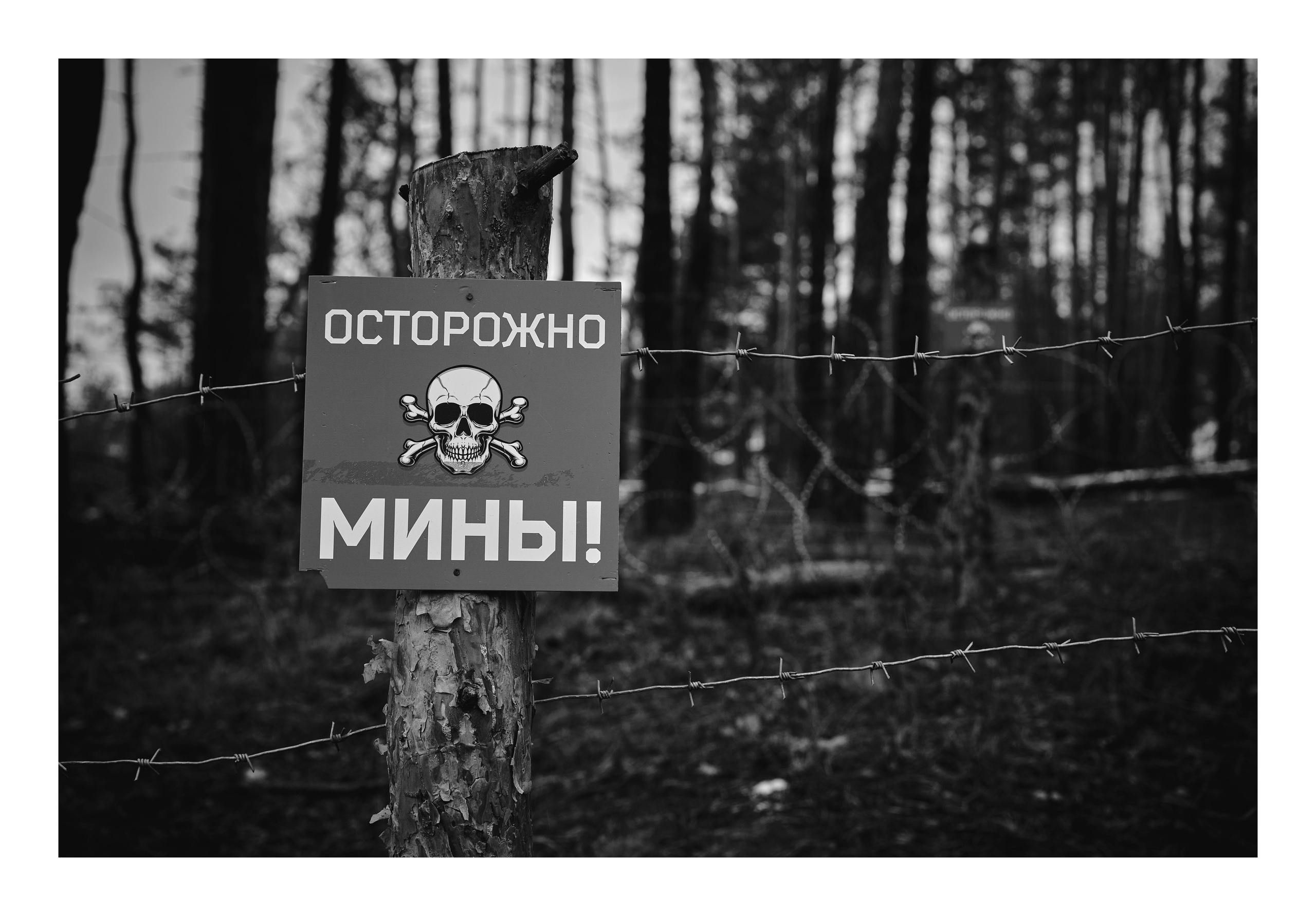 Фотопринты А3. Фотопроект «Территории»