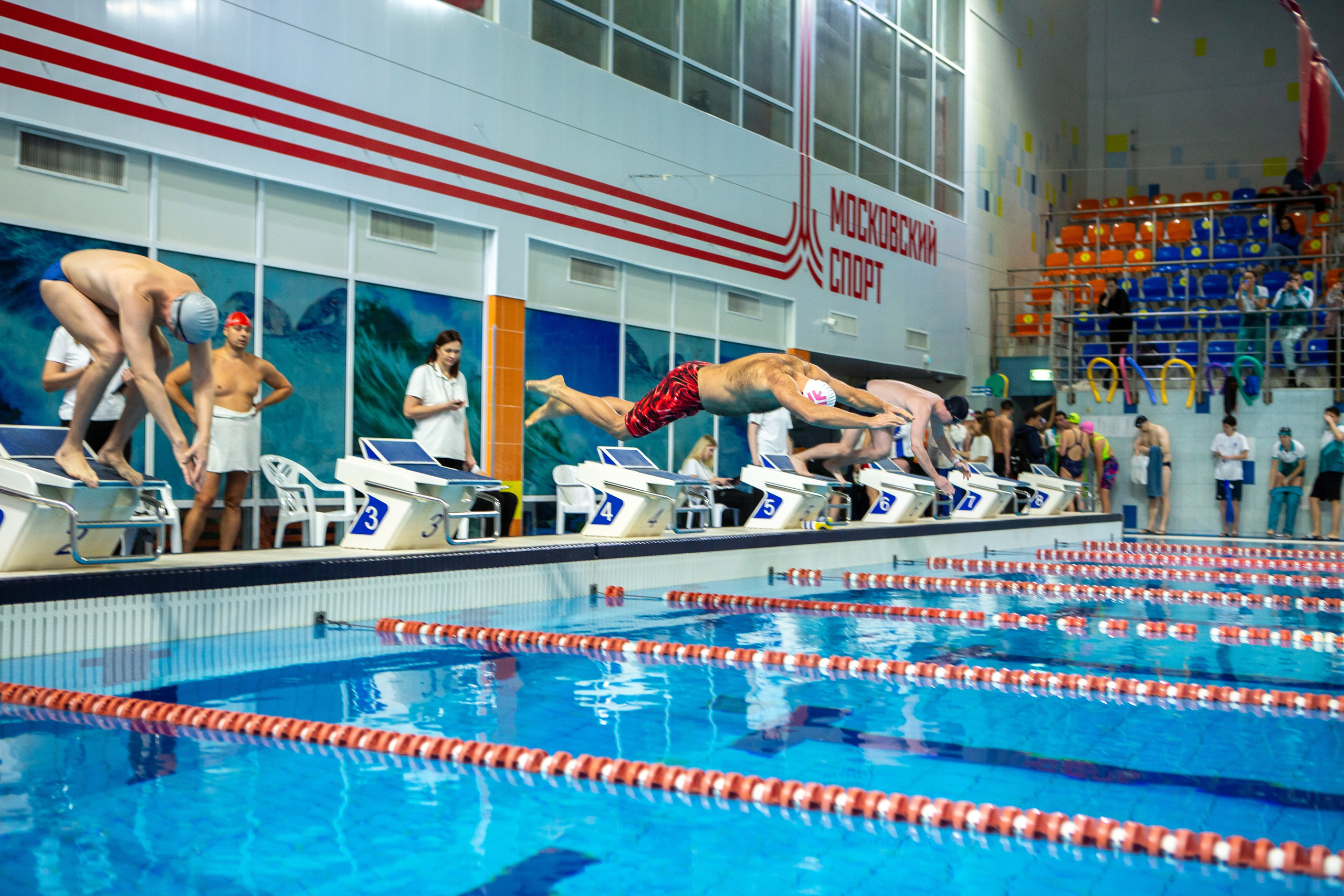 Турнир по плаванию. Репортажный, семейный, свадебный, портретный фотограф