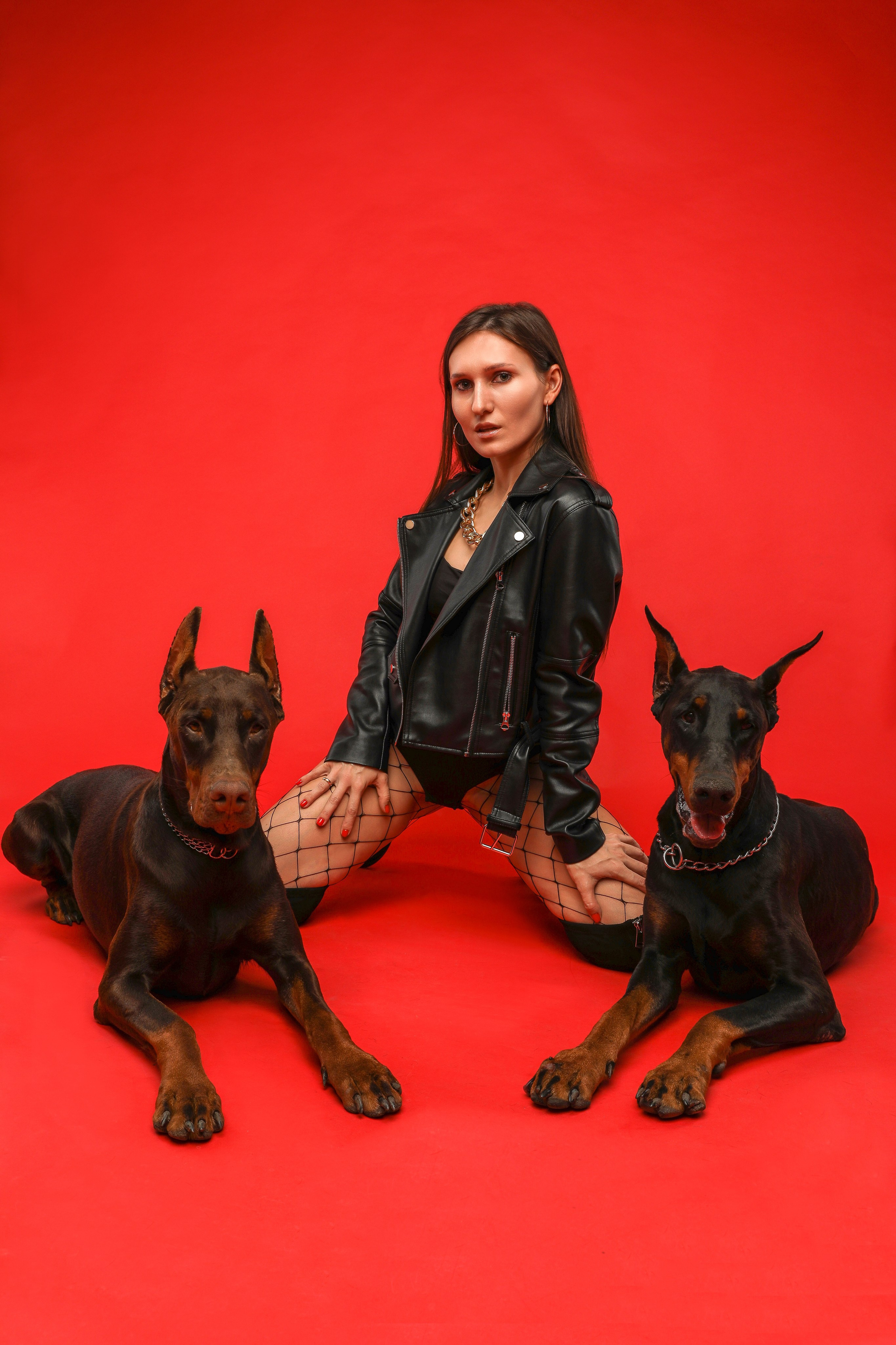 ПРОЕКТ «ДОБЕРМАНЫ». Photographer Viktoriya Markushina «My world throug»