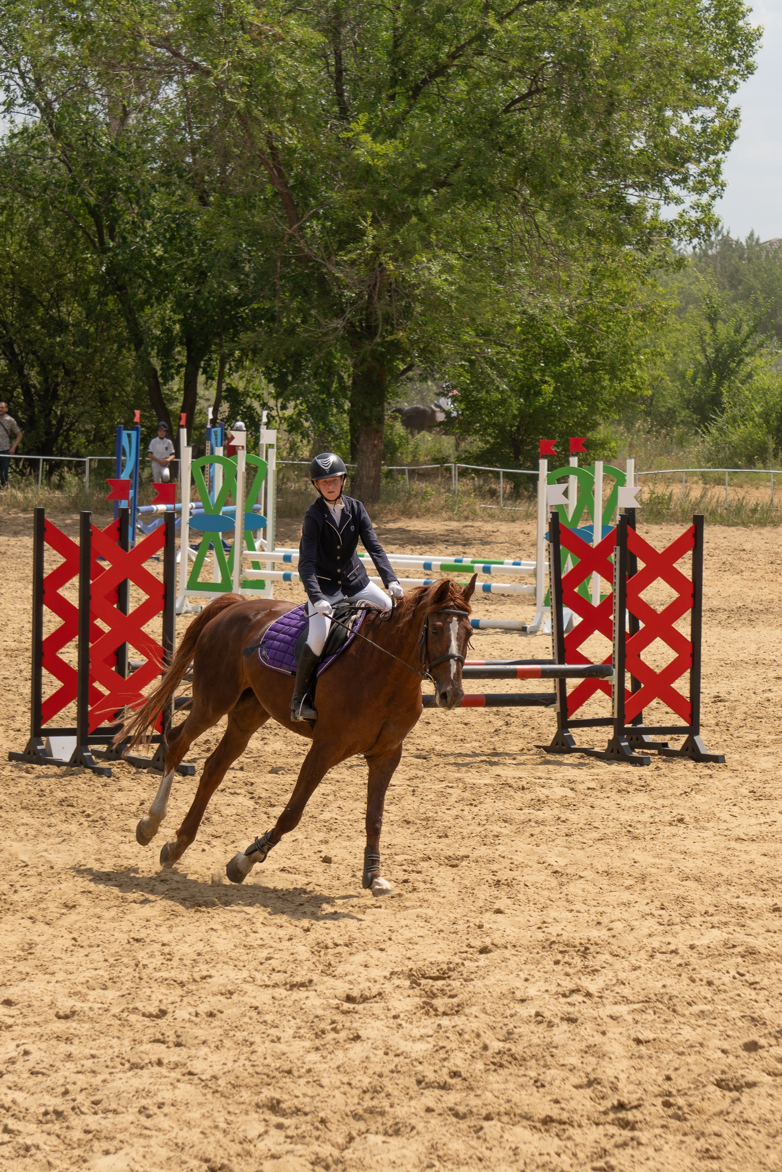 Соревнования по конкуру, Луганск. Фотограф в РФ и ЛНР Юлия Федосеева