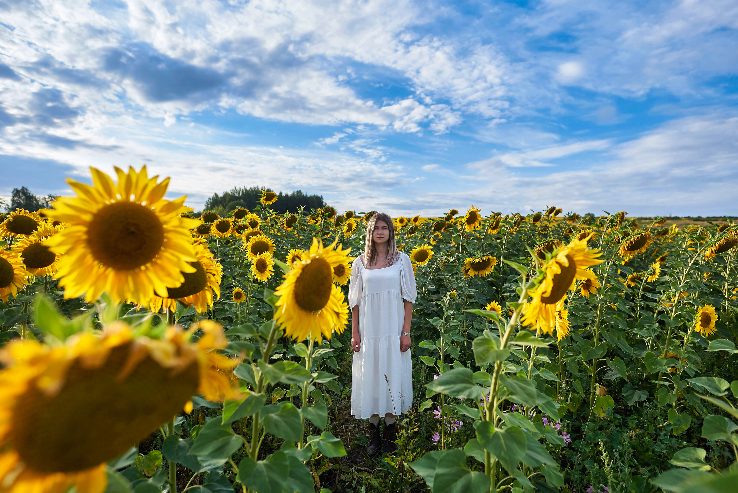 В подсолнухах. Фотосъемка мероприятий