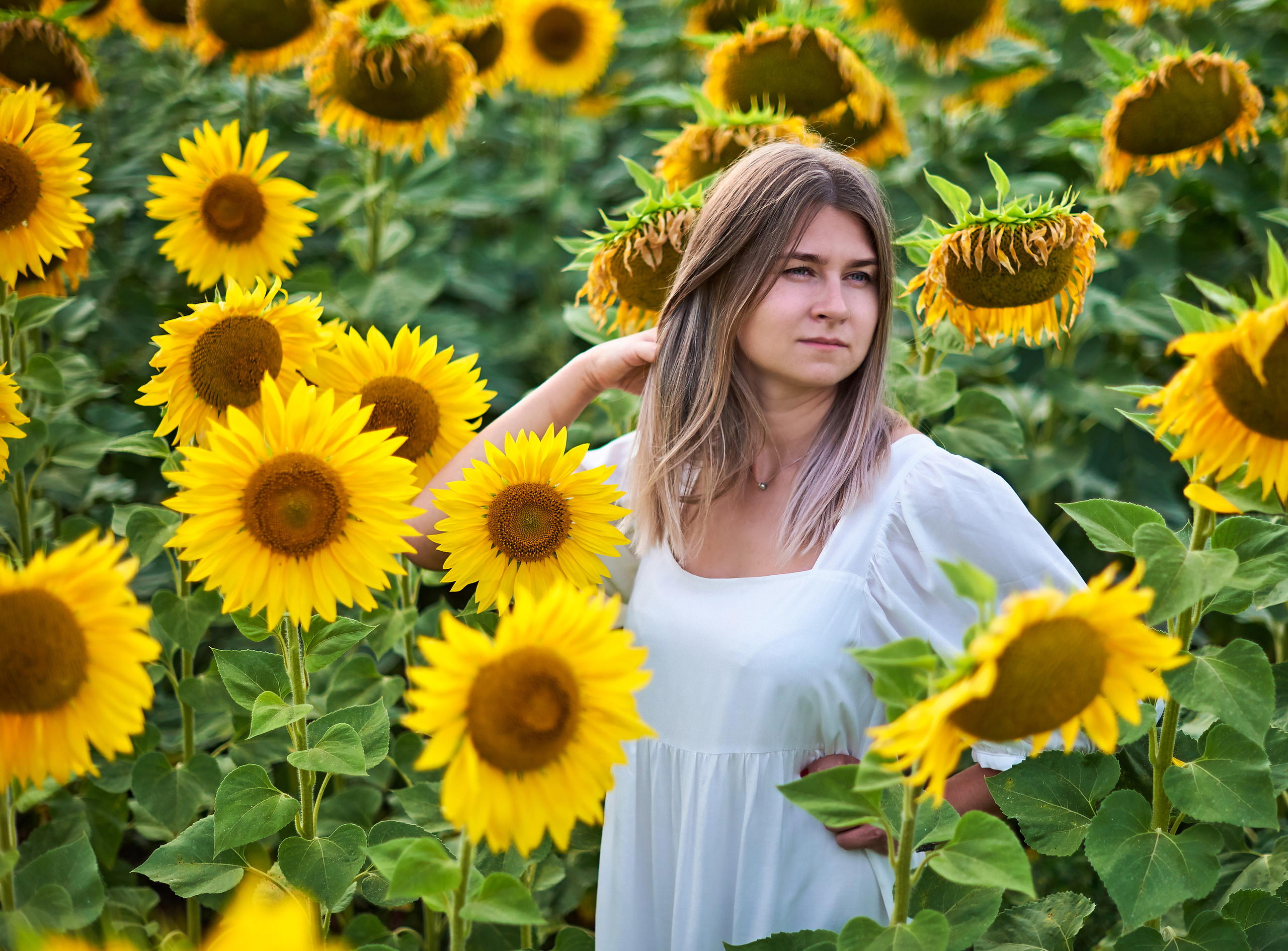 В подсолнухах. Фотосъемка мероприятий