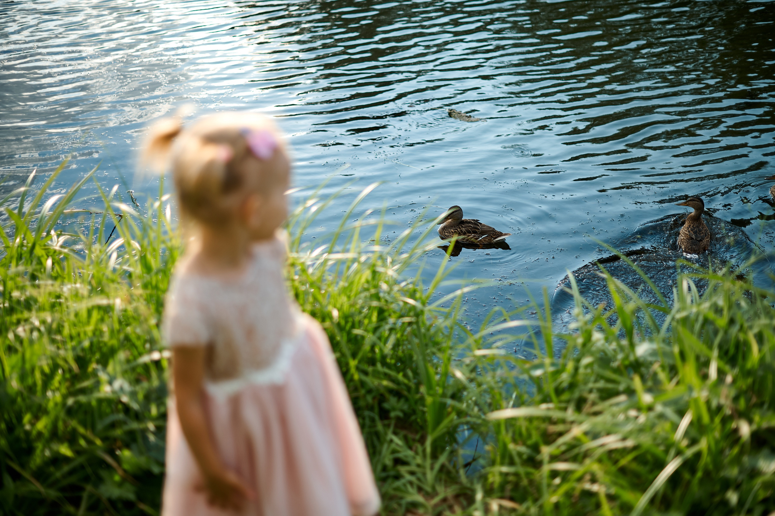 Семья. Фотосъемка мероприятий